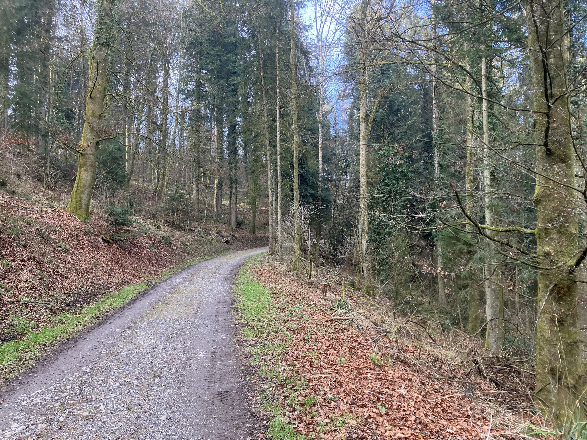 Schöne und breite Wanderwege.
