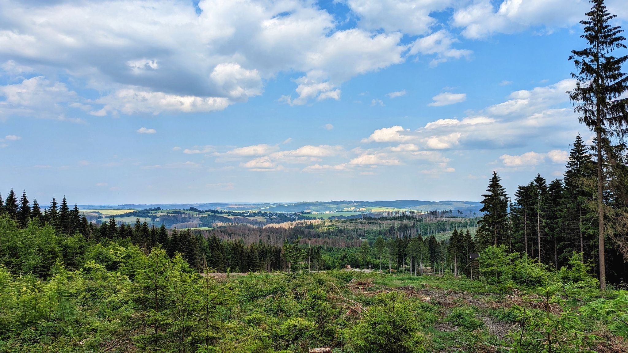 Blick in die Ferne