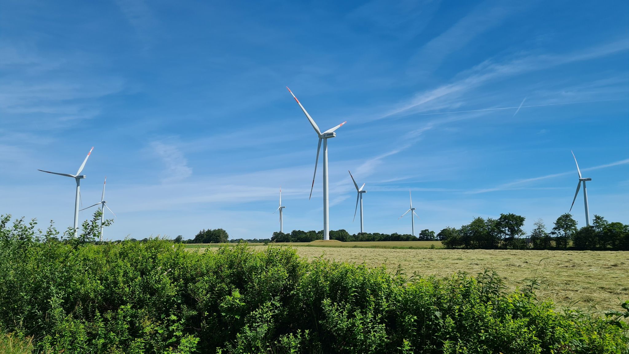 Der Windpark von nahem