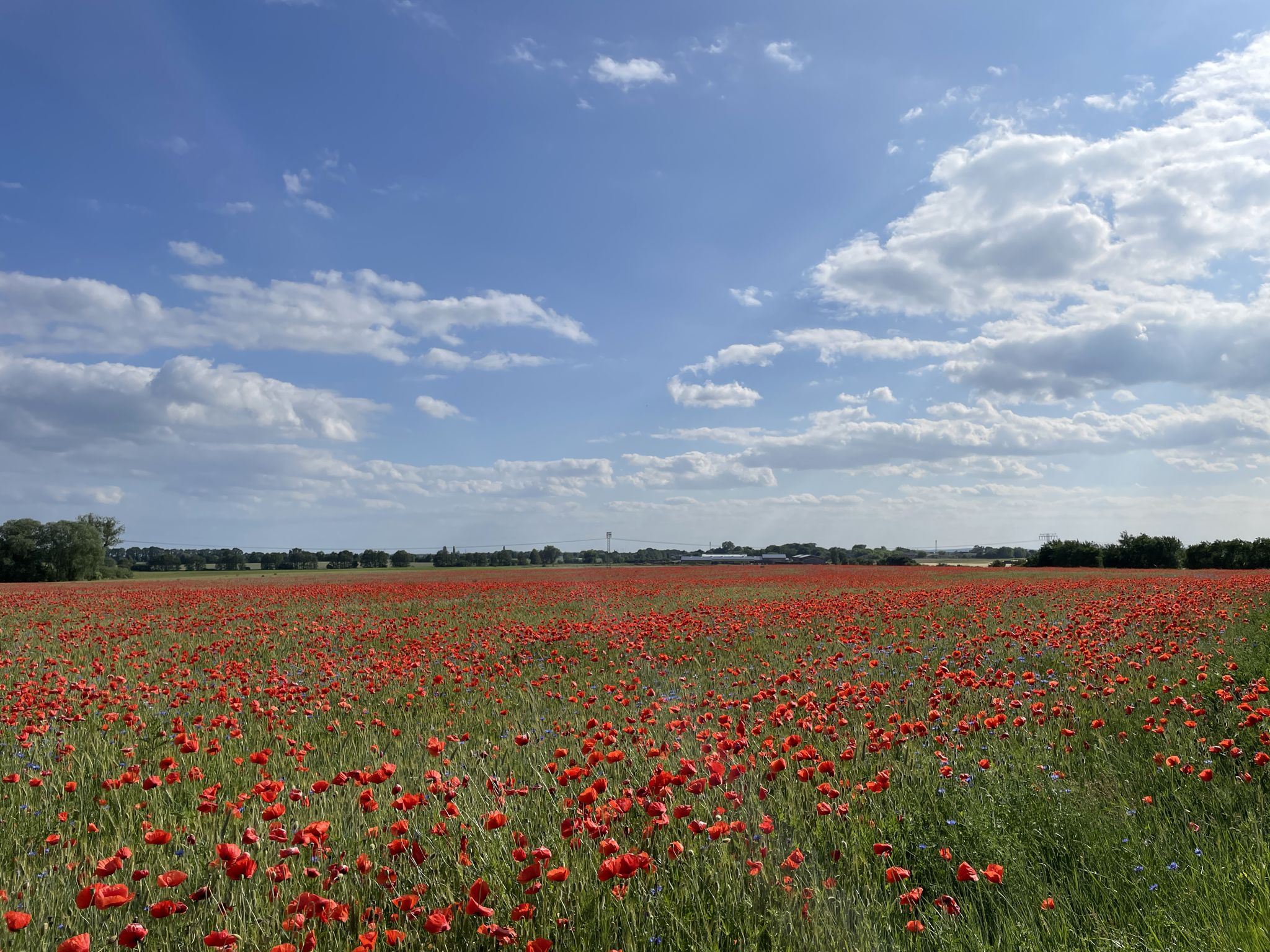 Blick in Richtung Jacobsdorf