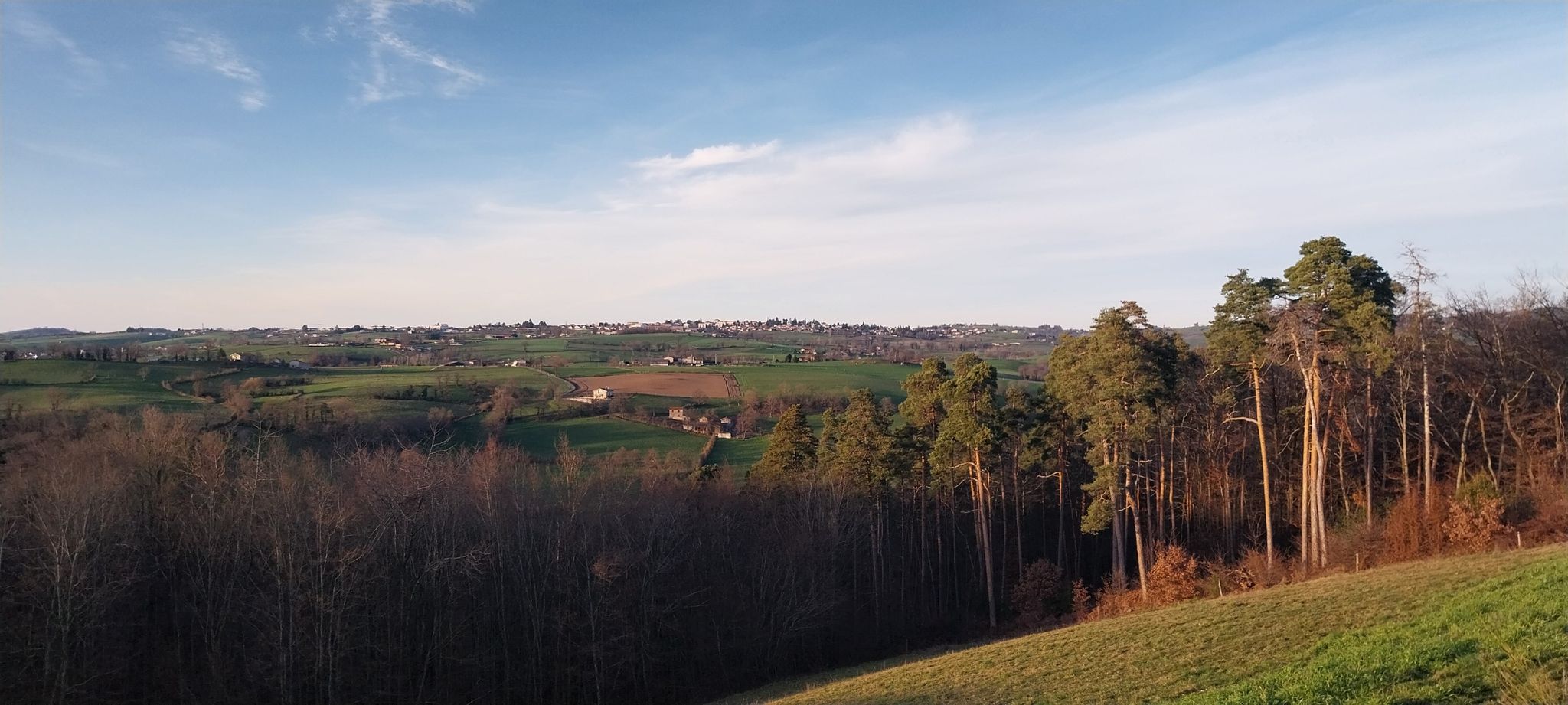point de vue 7