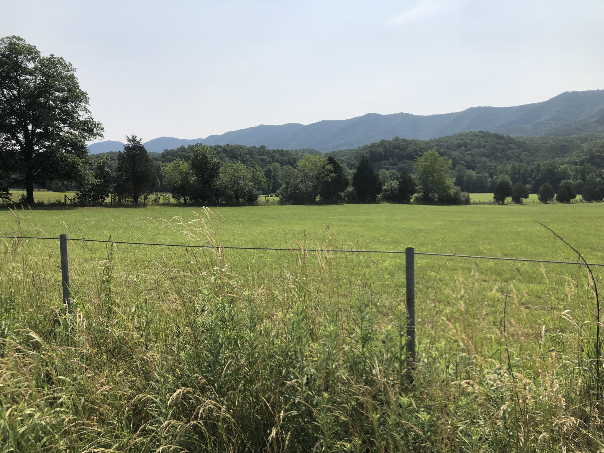 Green field, fence, trees, and distant mountains under a bright, clear sky. - Willow Springs Lake loop