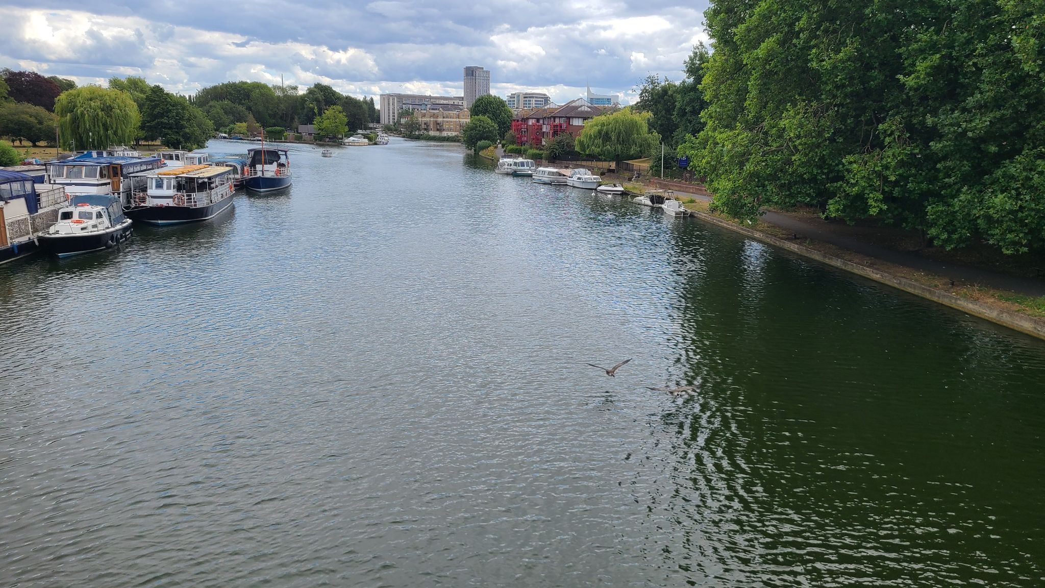 View from Caversham Bridge