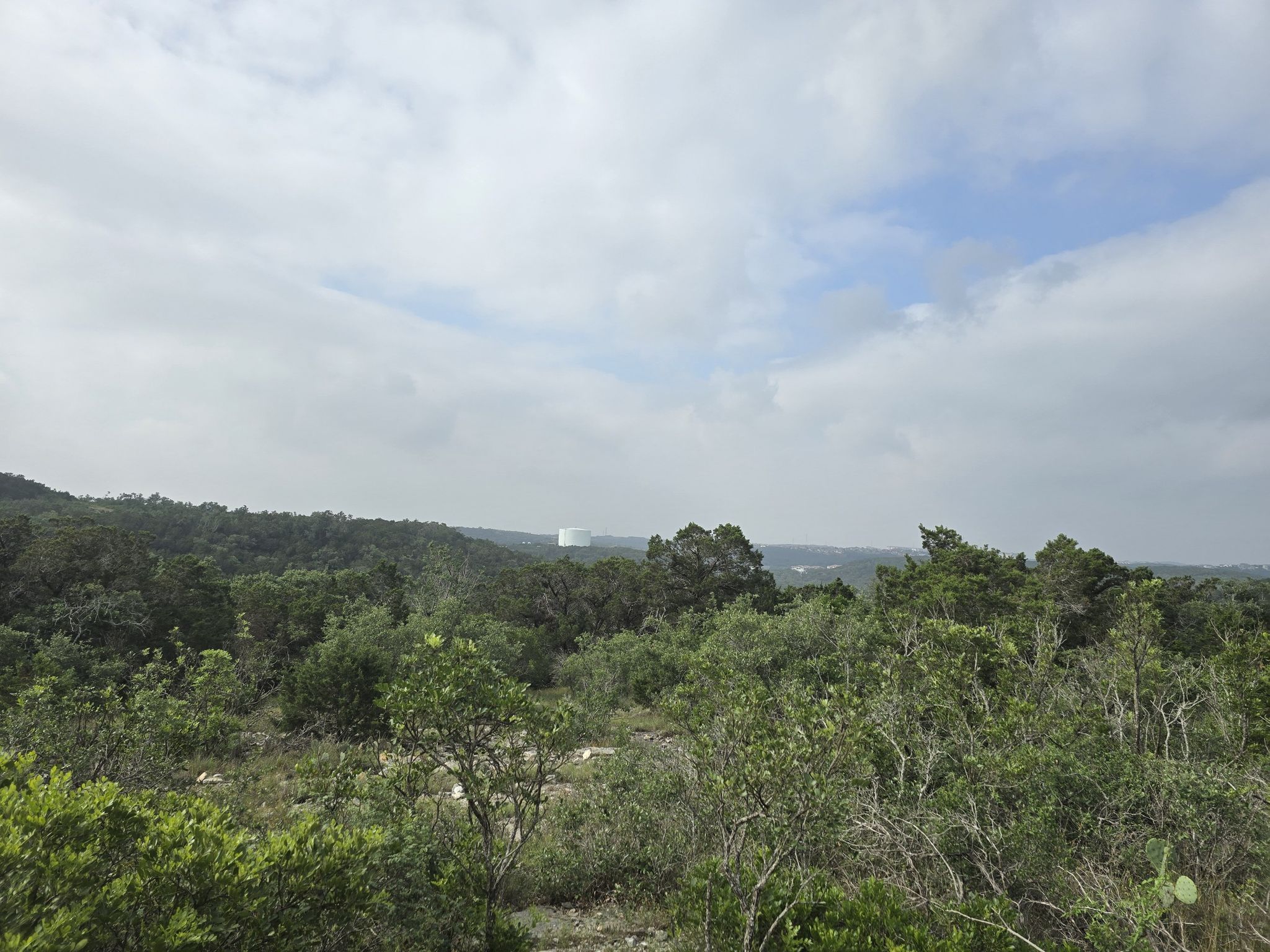 Expansive view of a green, hilly landscape under a cloudy sky. - Main Loop – Fern Del loop from Friedrich Wilderness Park