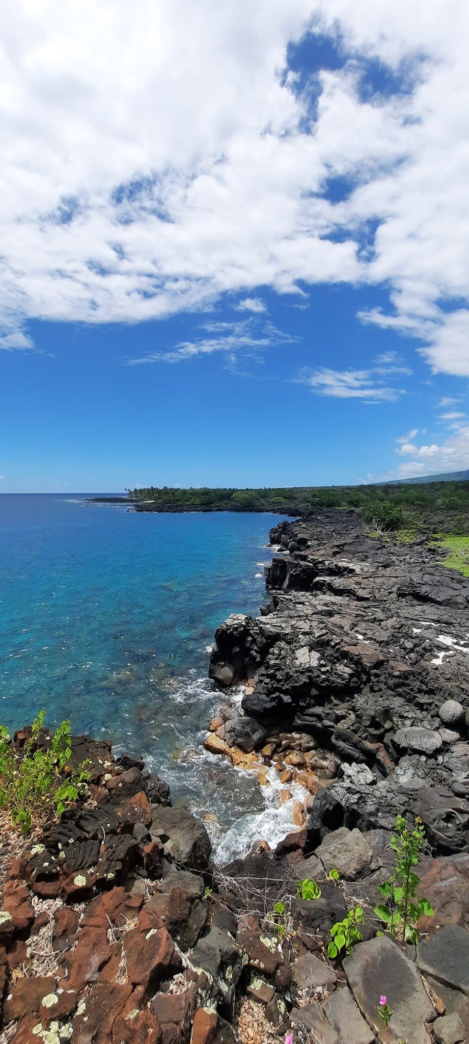 Clear blue ocean next to rugged dark lava rock cliffs under a bright sky. - Big Island 3D-Model – Two Step Beach loop from Keomo Point