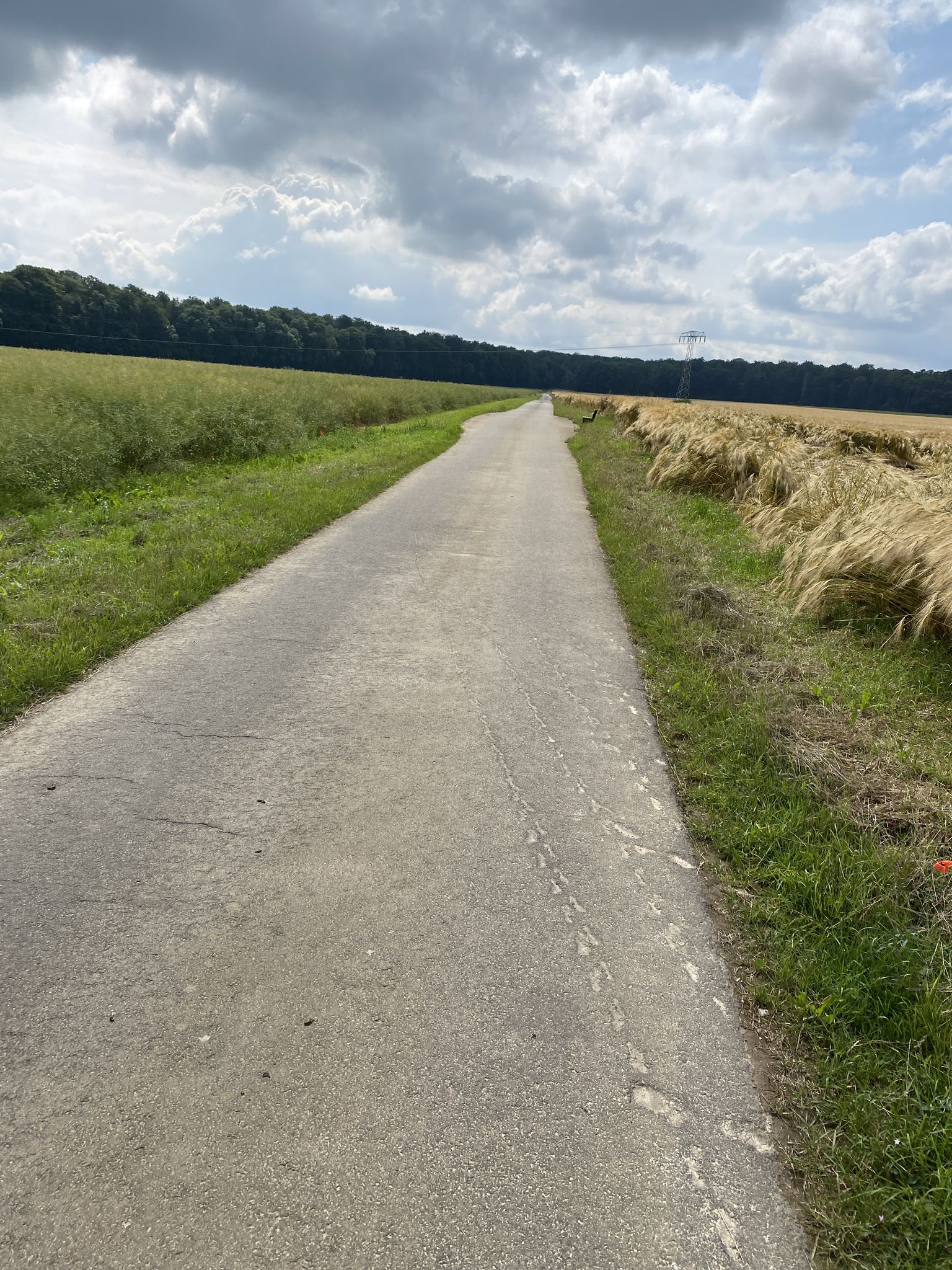 Schöner Radweg