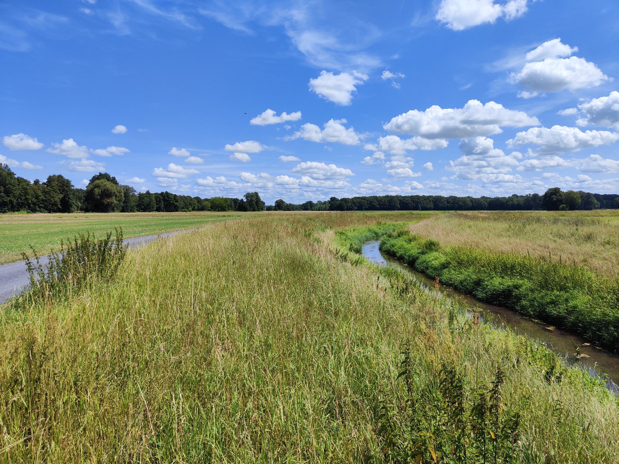 Geißlitz (Röderkanal)