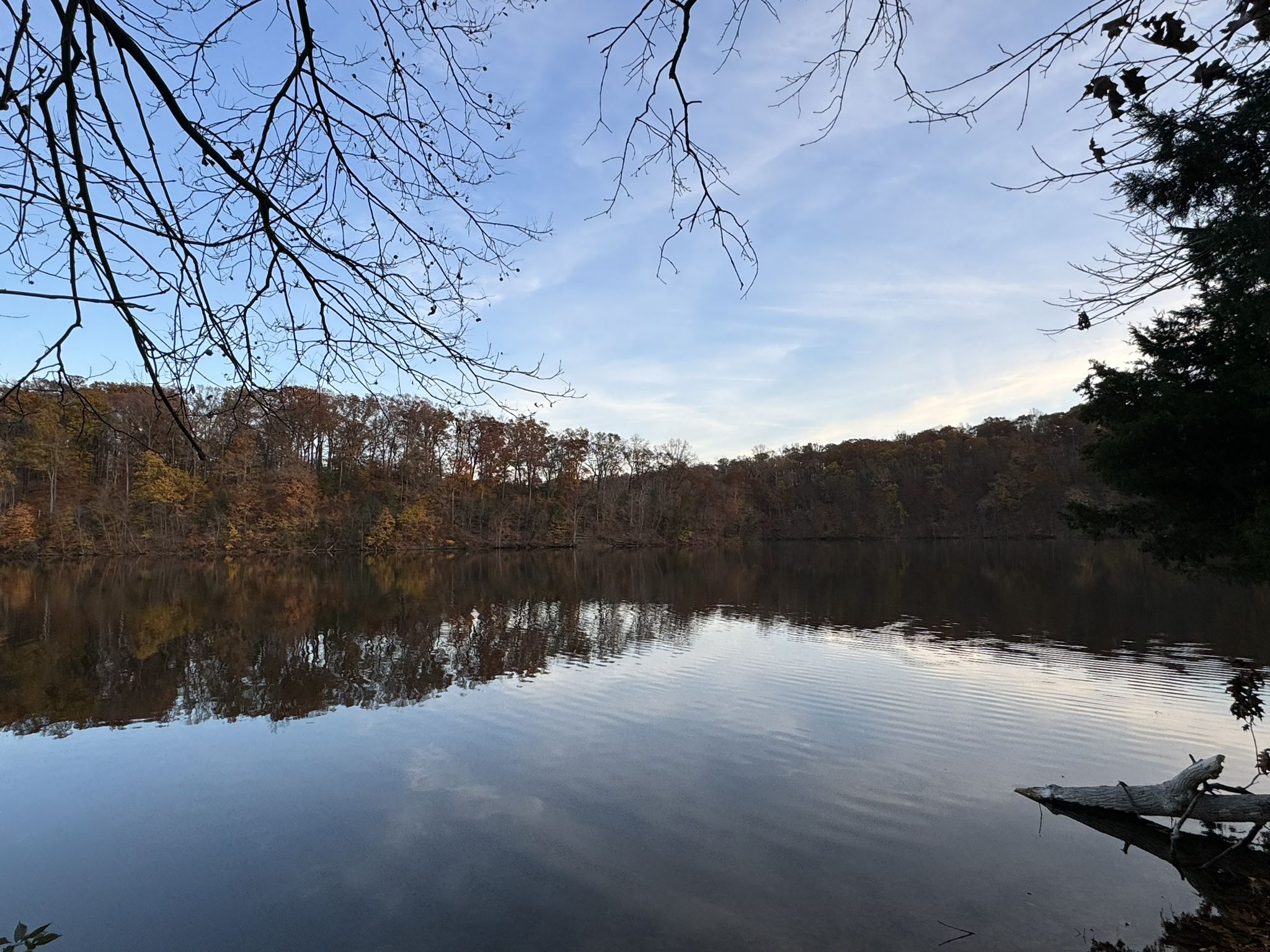Calm lake reflecting autumn trees under a clear blue sky. - Green Lane Park - Blue Trail