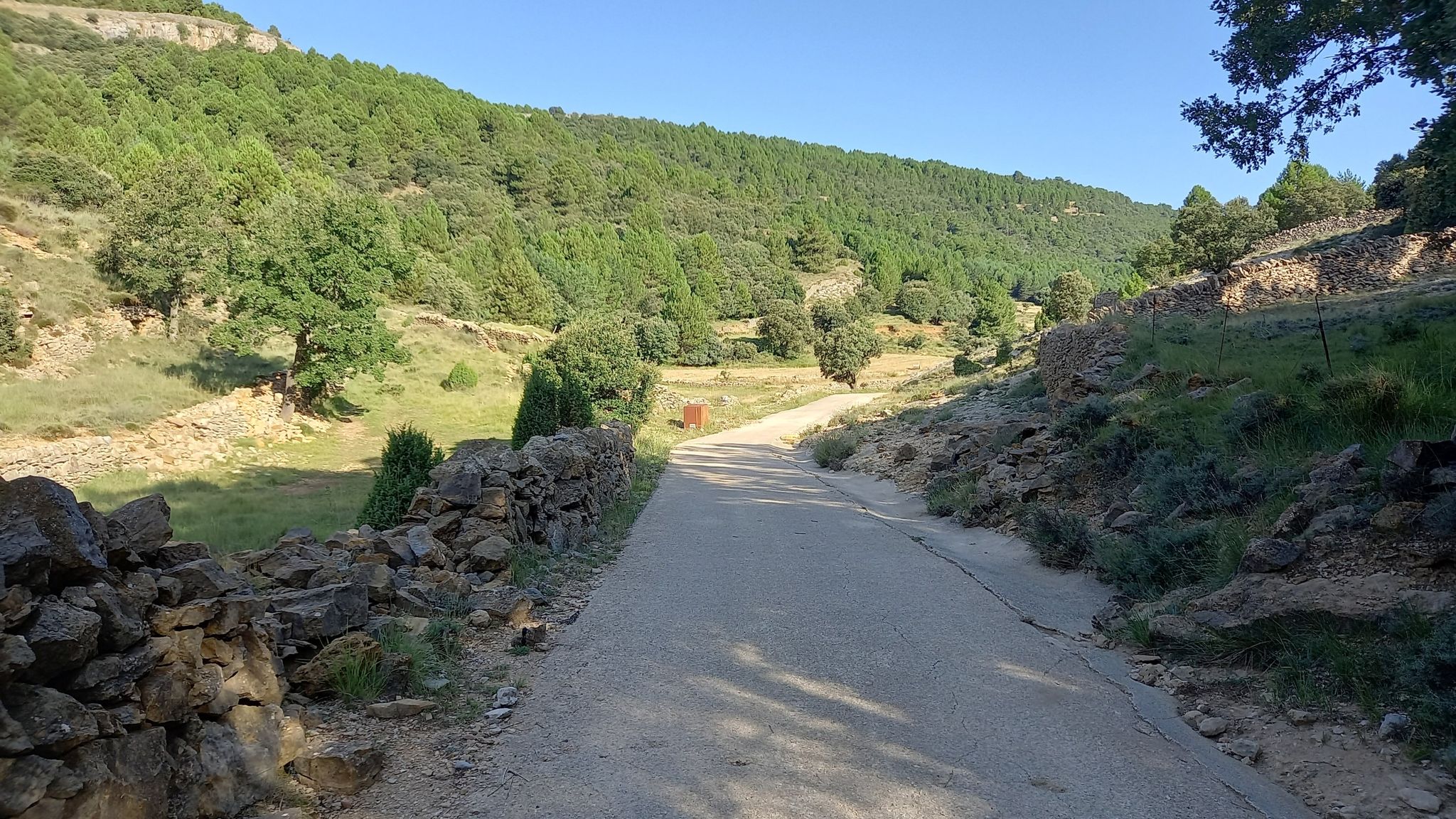 pista
