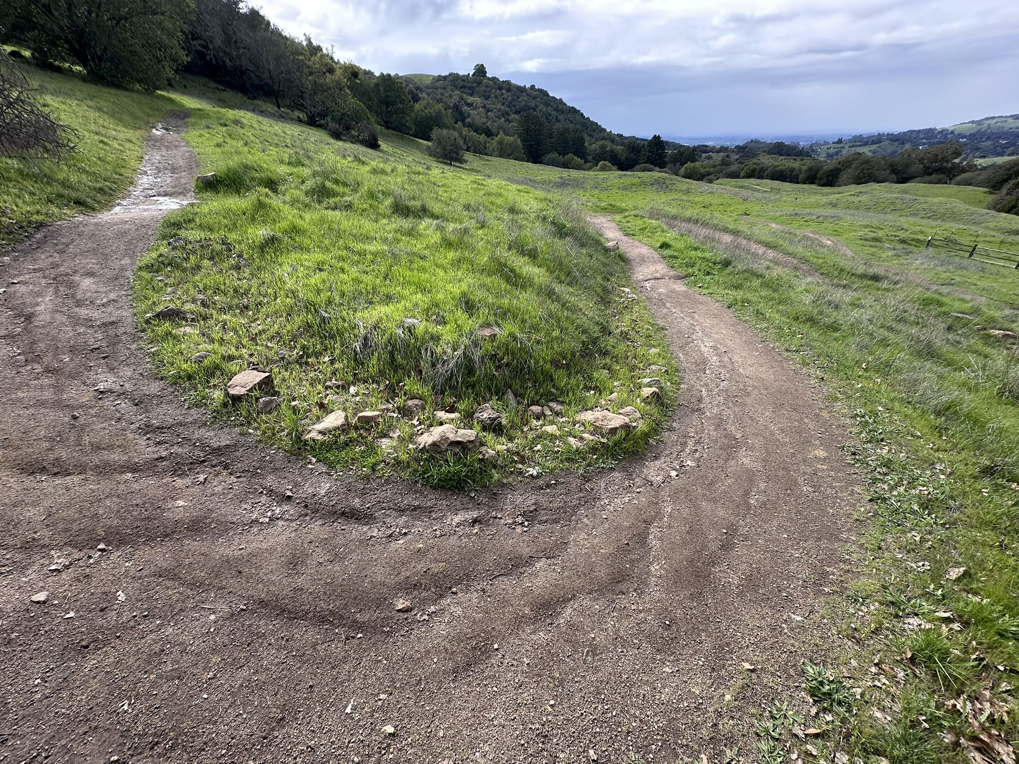 Dirt trail forks on a grassy hillside under an overcast sky. - North Sonoma Mountain Ridge Trail