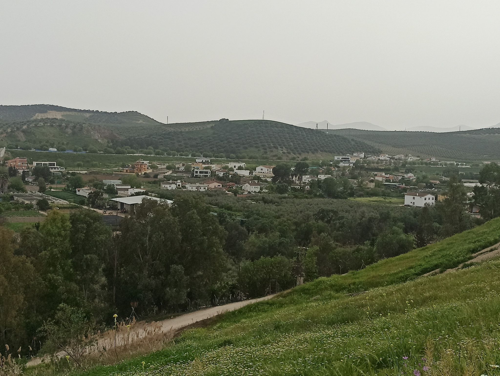Ribera Alta