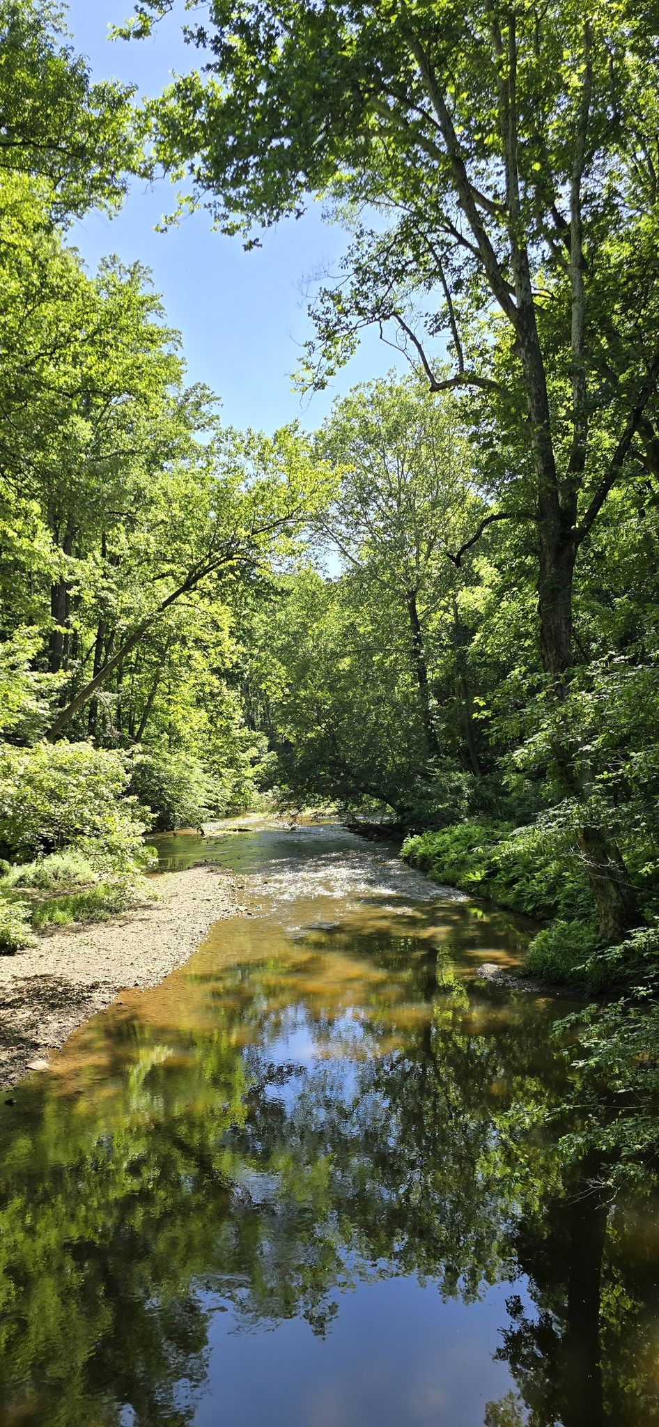 A calm river reflects green trees and blue sky on a sunny day. - Dick Branch waterfall – Little Gunpowder Trail loop from Fallston