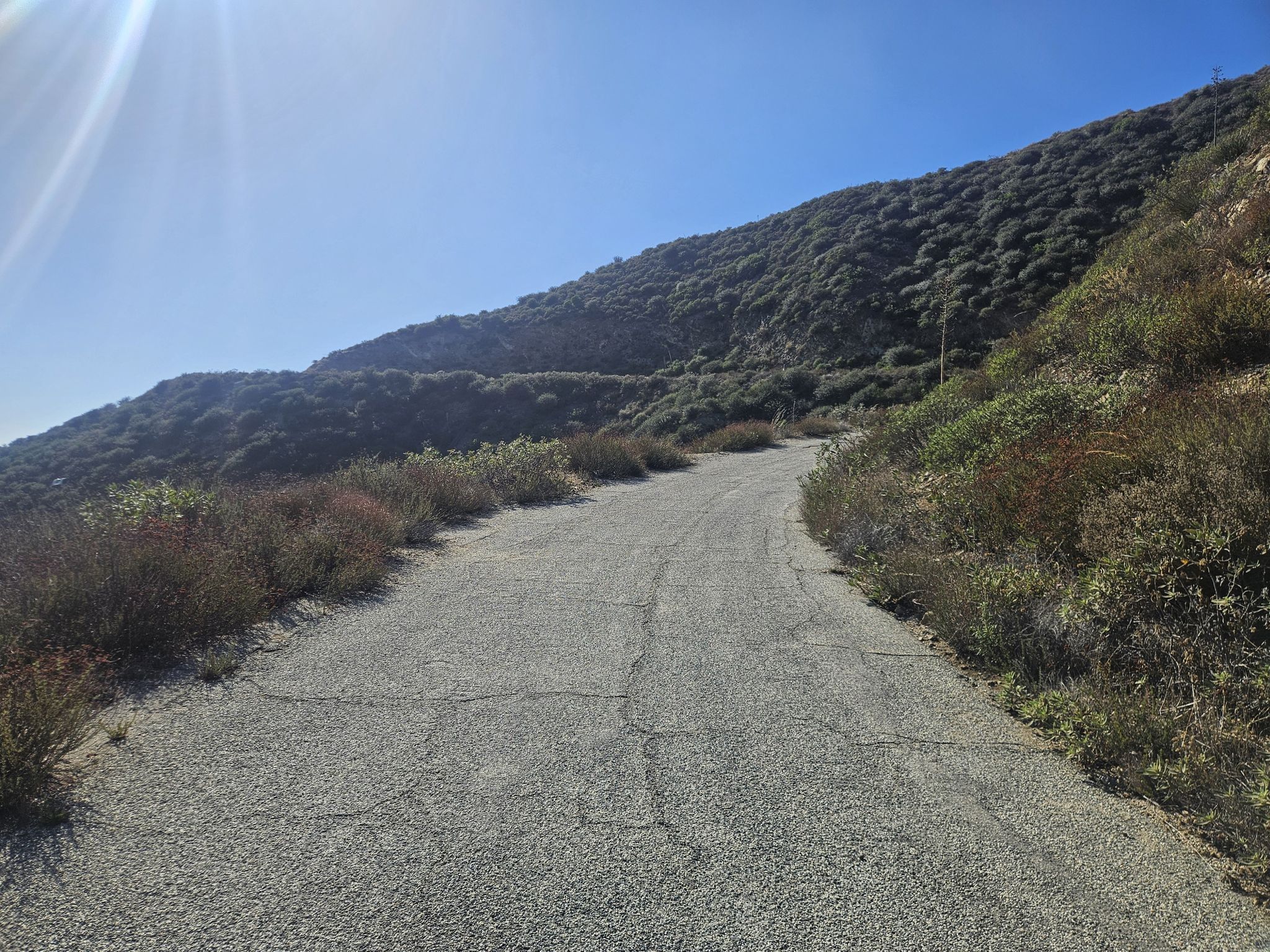 An uphill paved road with dry brush on a sunny day, leading towards a green hill. - May Canyon Trail