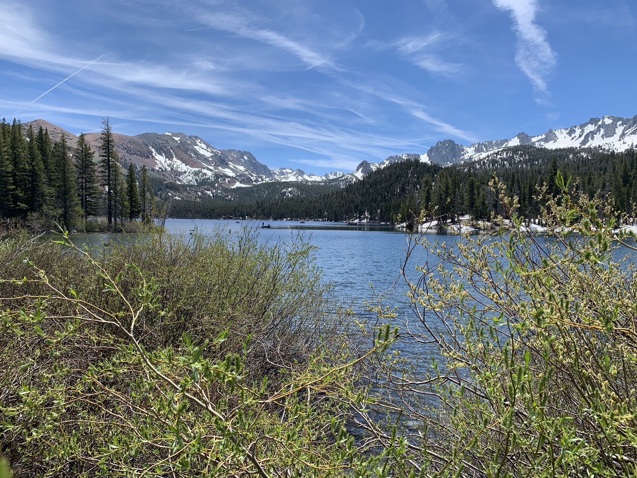 A serene mountain lake surrounded by pine forests and snow-capped peaks under a bright sky. - Horseshoe Lake Loop