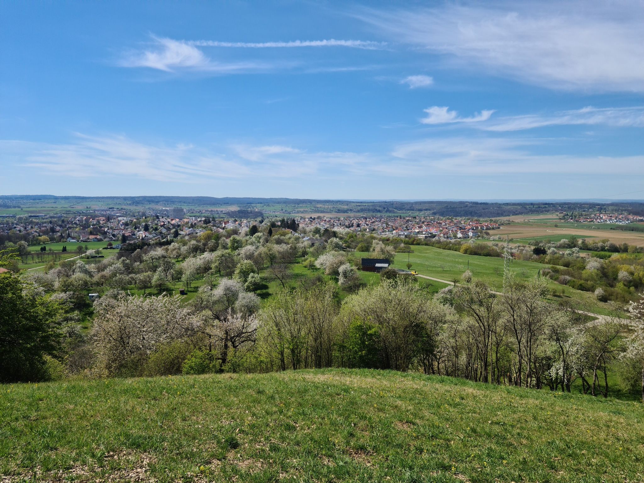 Aussicht auf Gomaringen