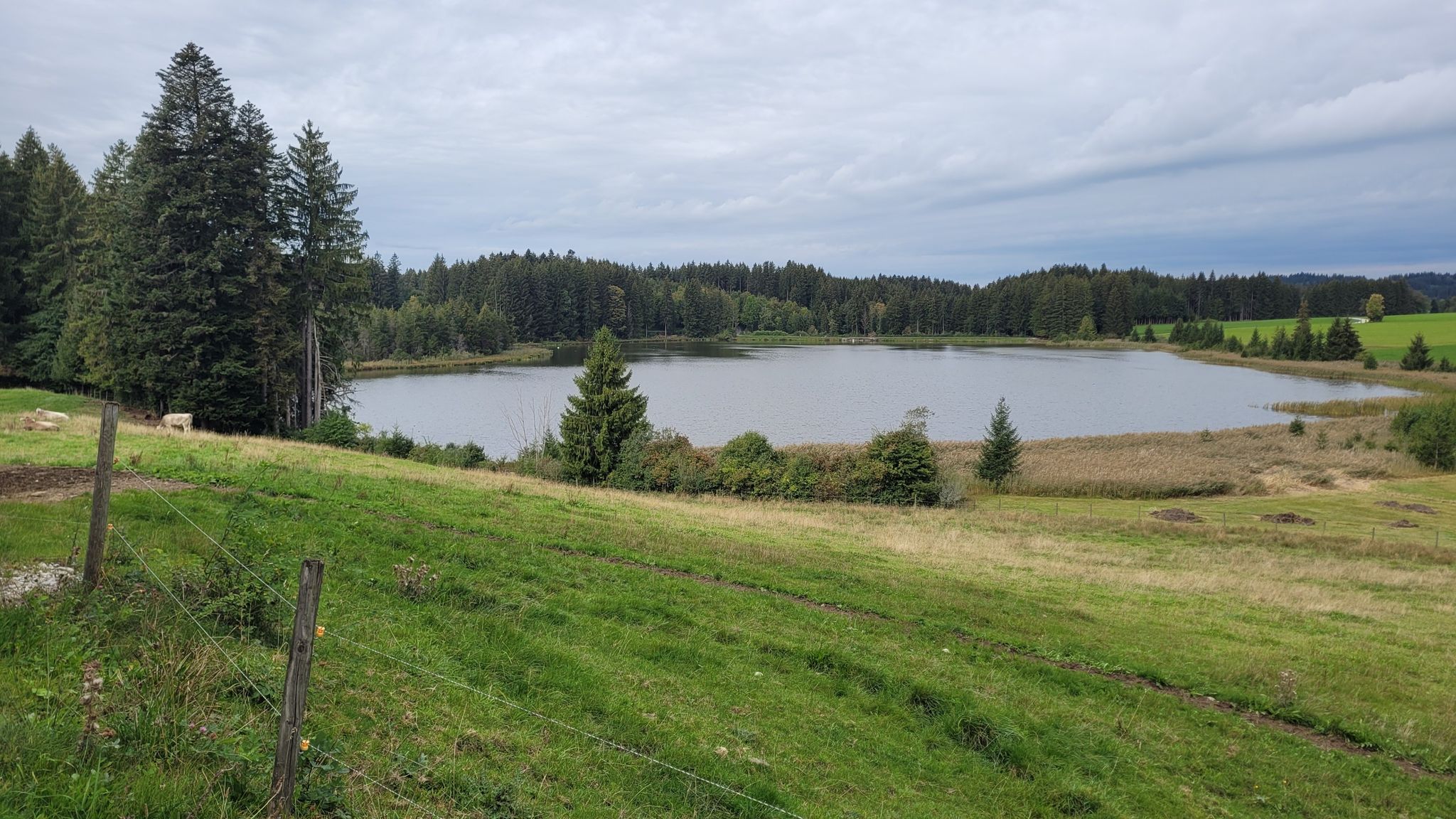 Kögelweiher