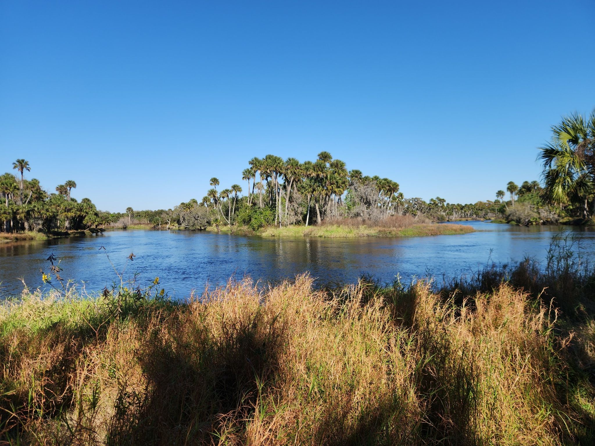Wide river with palm tree islands under a clear blue sky. - Culpepper Bend Trail