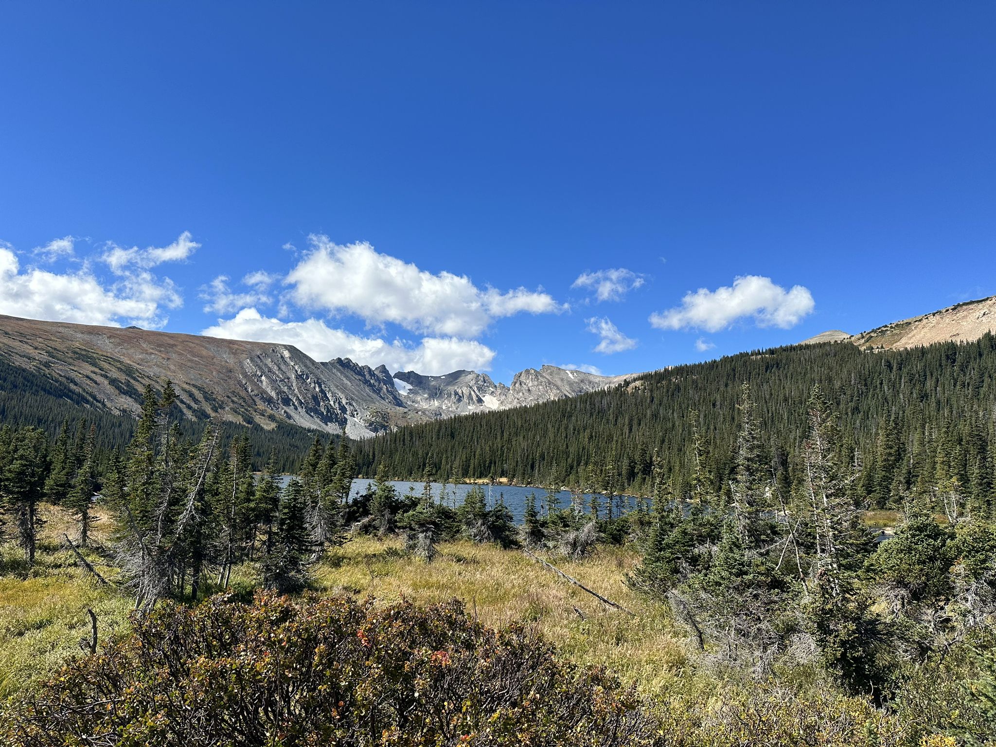 Mountain lake nestled among pine forests, distant peaks, bright blue sky. - Pawnee Pass Trail