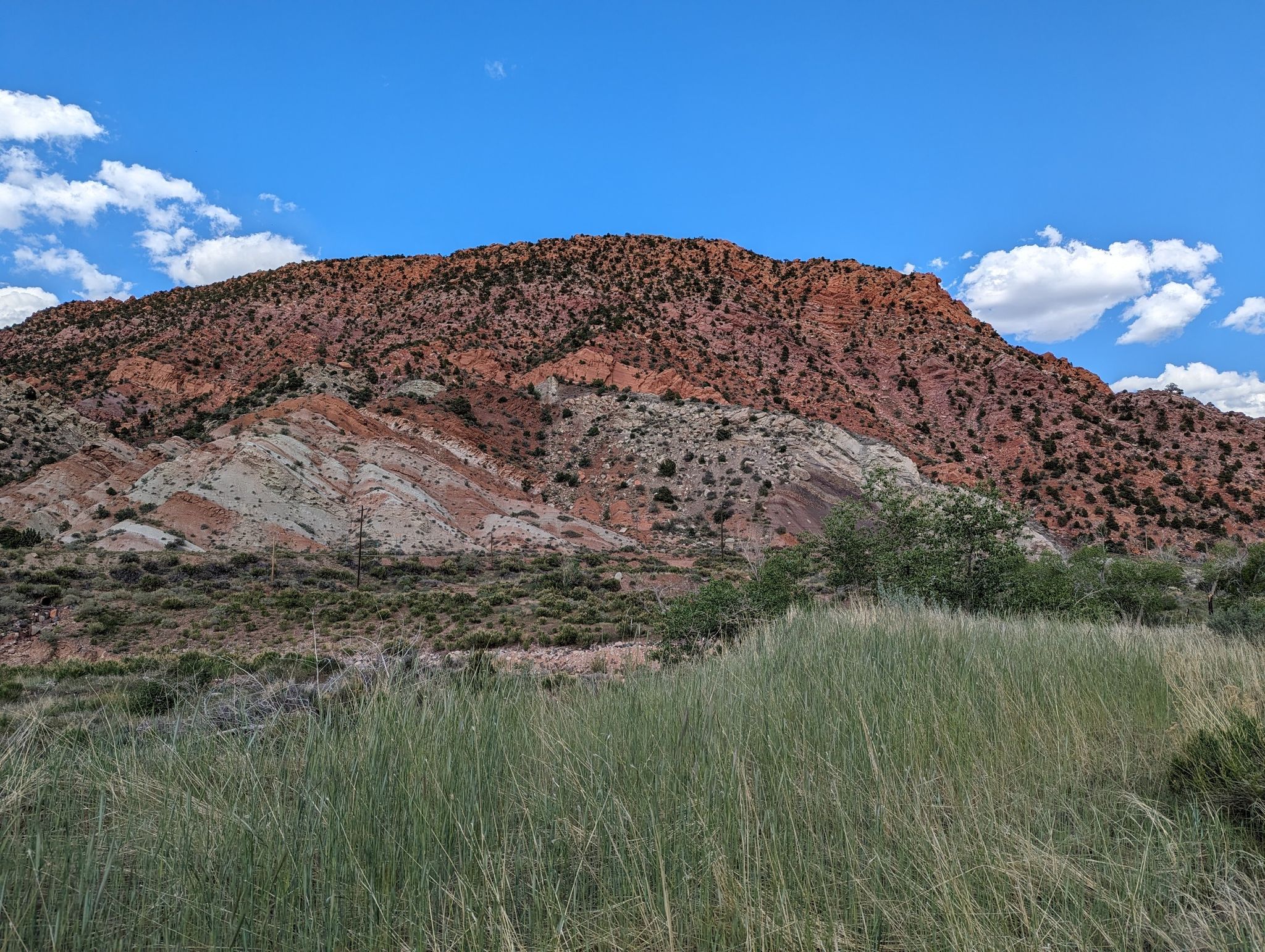 Sunny view of a large red and white layered mountain with green foreground. - Coal Creek Trail – East Bench Trail loop from Cedar City