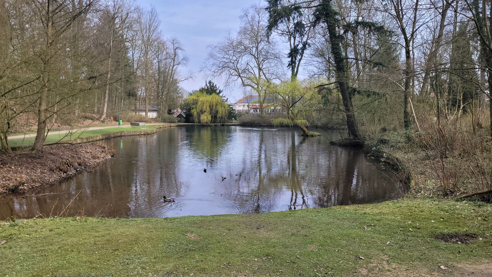 Kleiner Kasinoparkteich