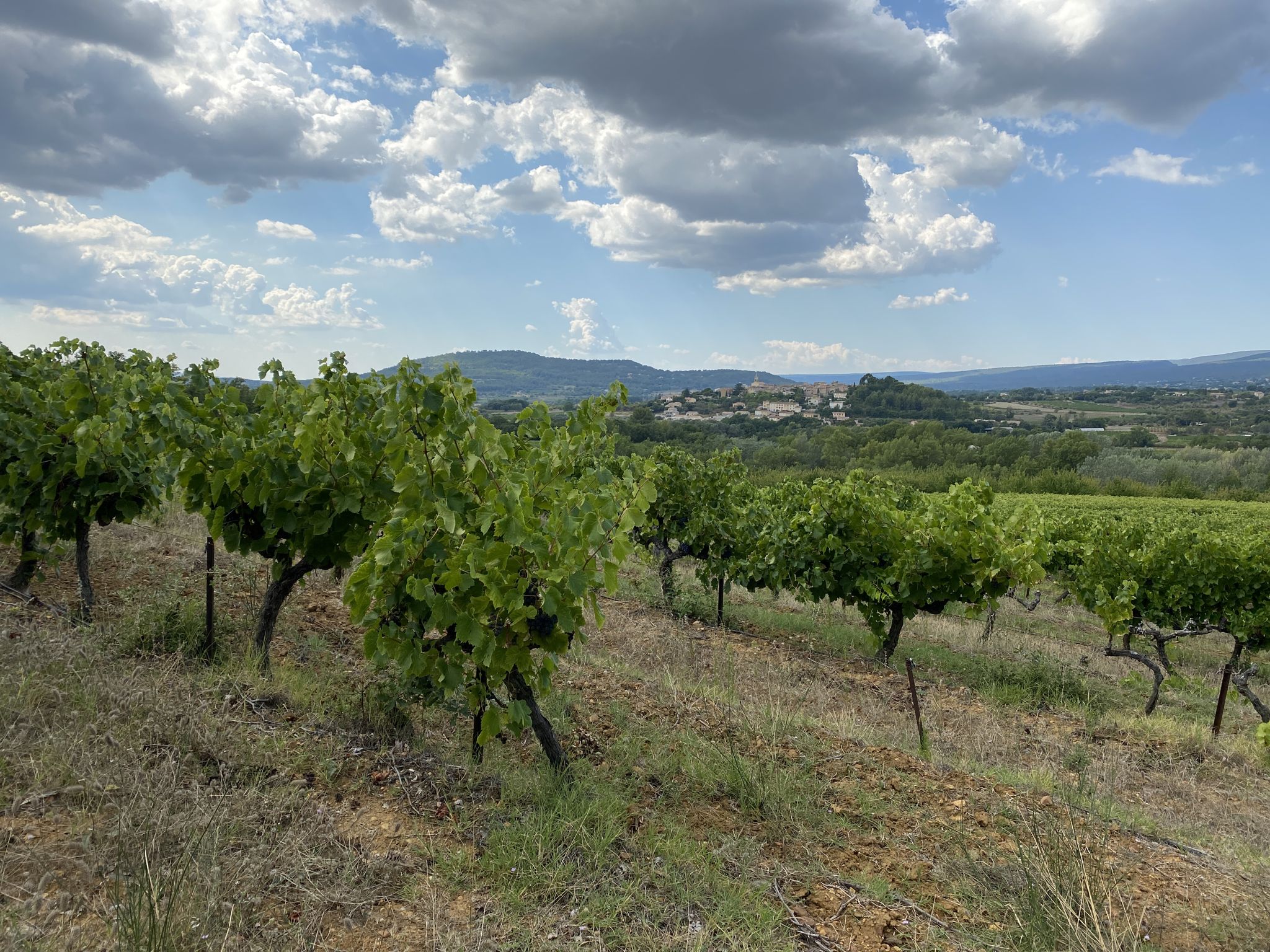 So, der Ockerhügel ist umrundet, jetzt wieder Dörfchen und Wein im Blick 