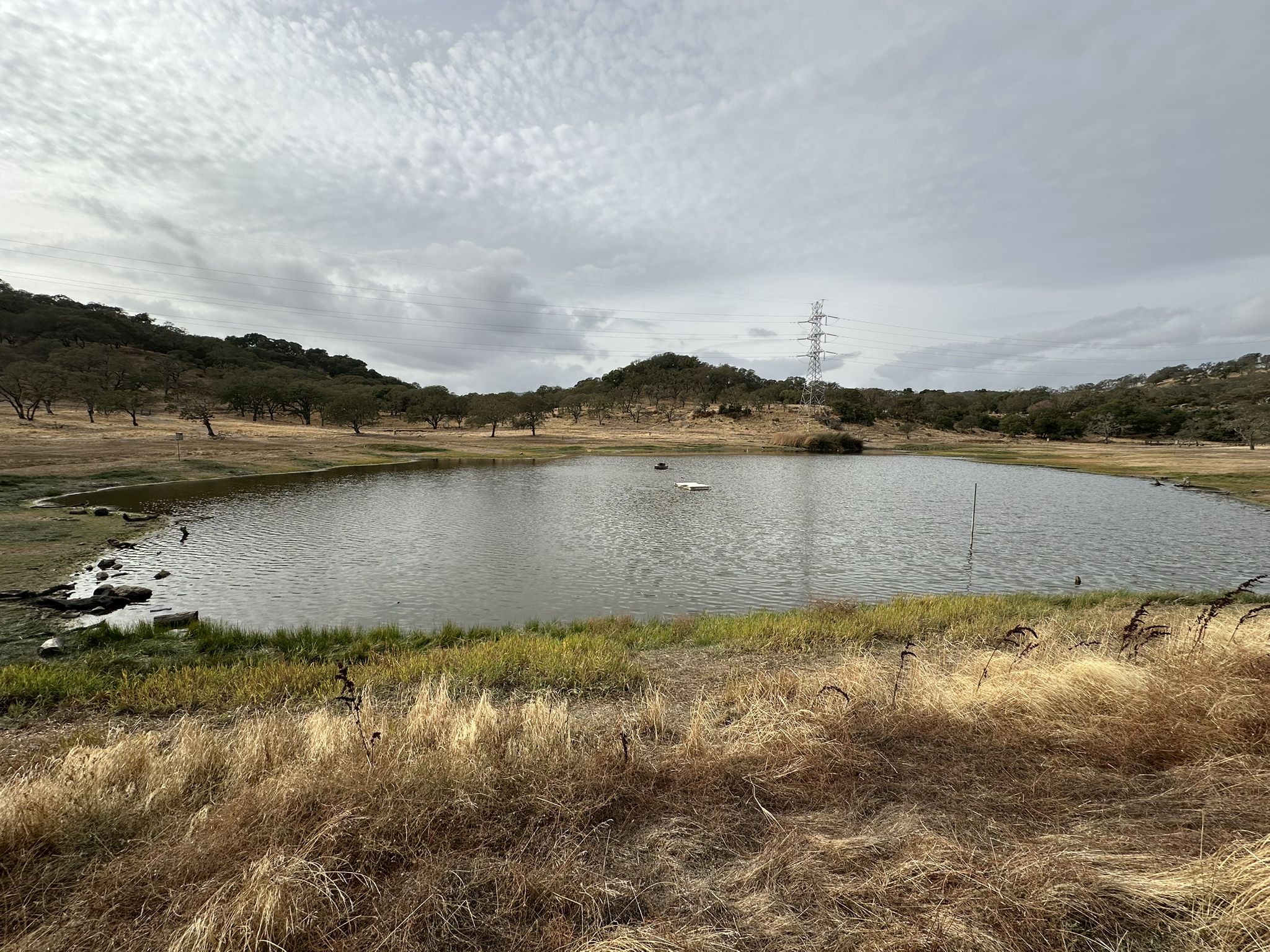 A pond with grassy banks under an overcast sky, hills and trees in background. - Old Ranch Road and Rockville Trail Loop