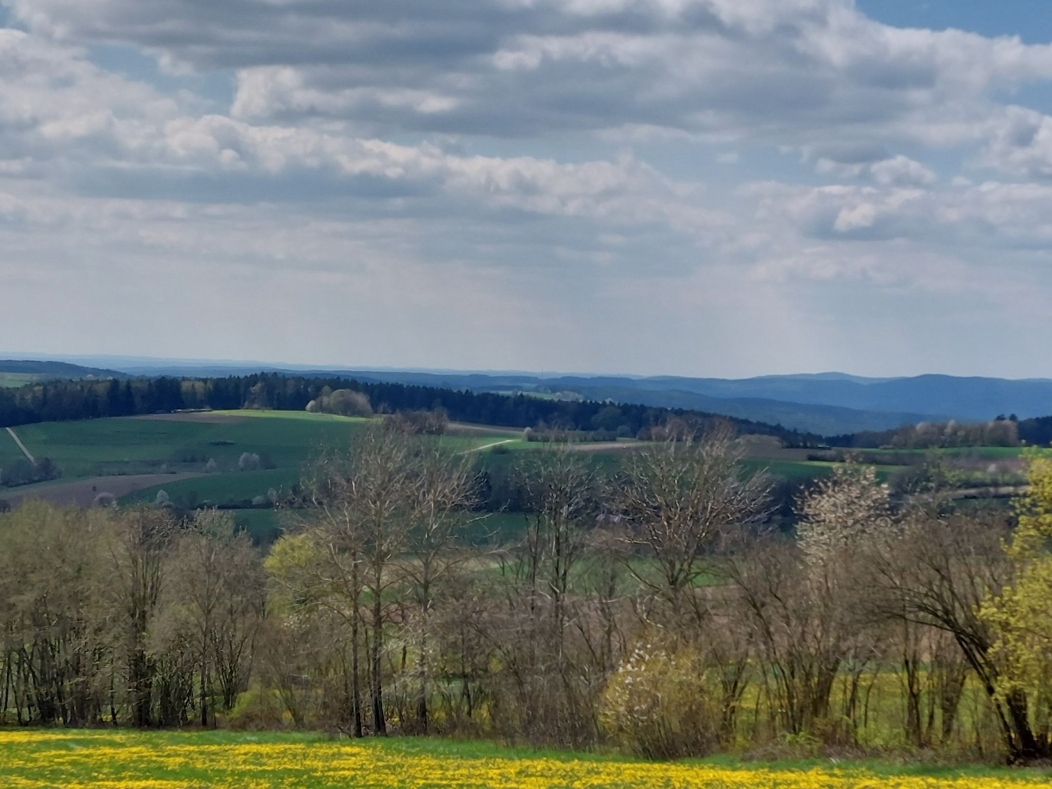 Oberpfälzer Wald
