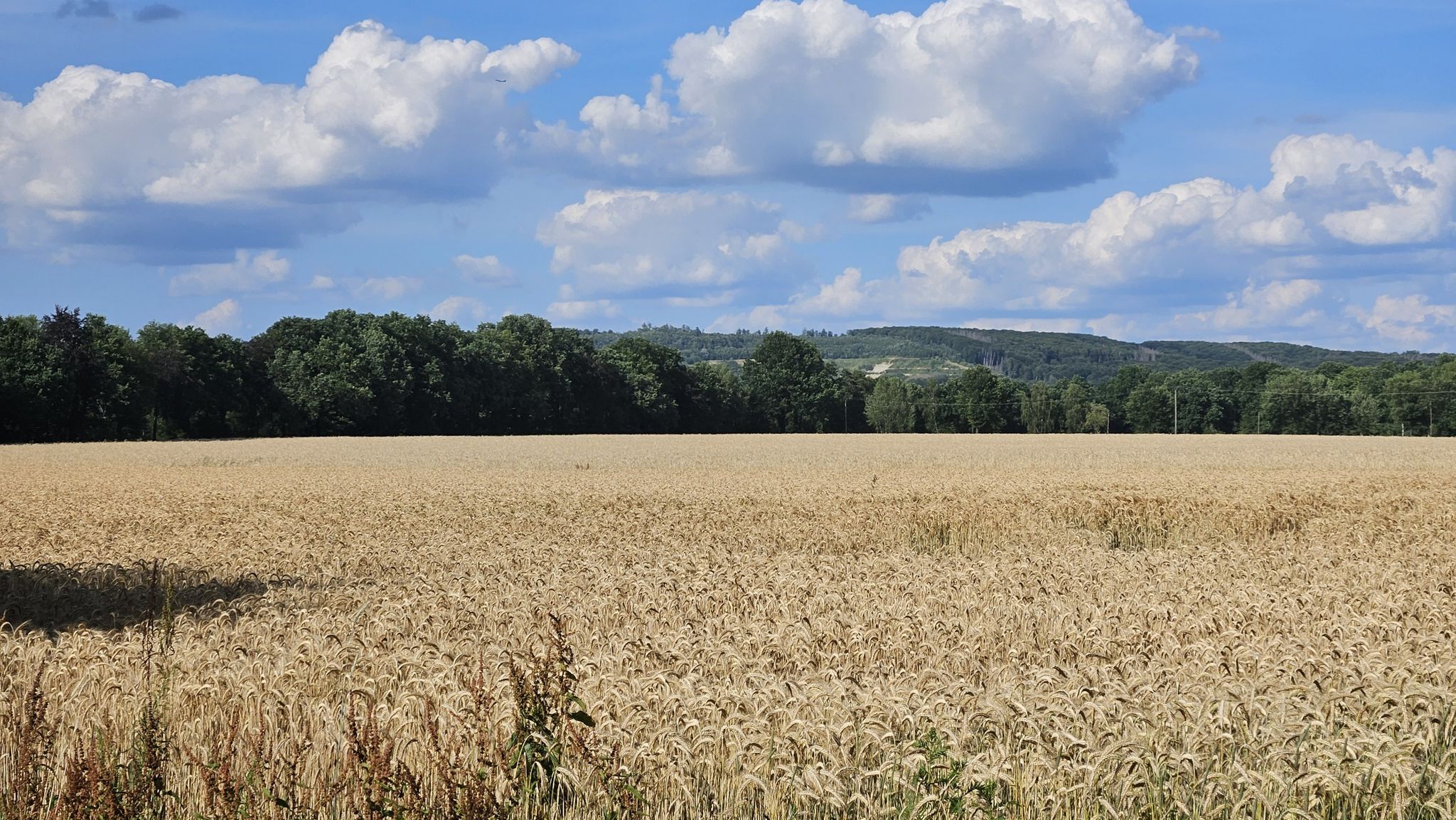Erster Blick in den Teutoburger Wald
