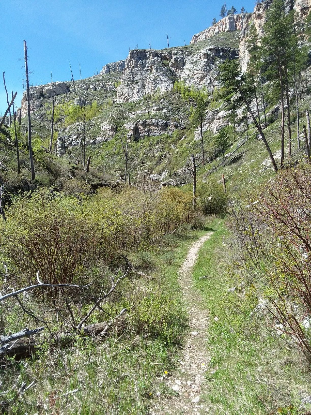 A narrow dirt path winds through a green valley with rocky cliffs. - Hell Canyon Trail