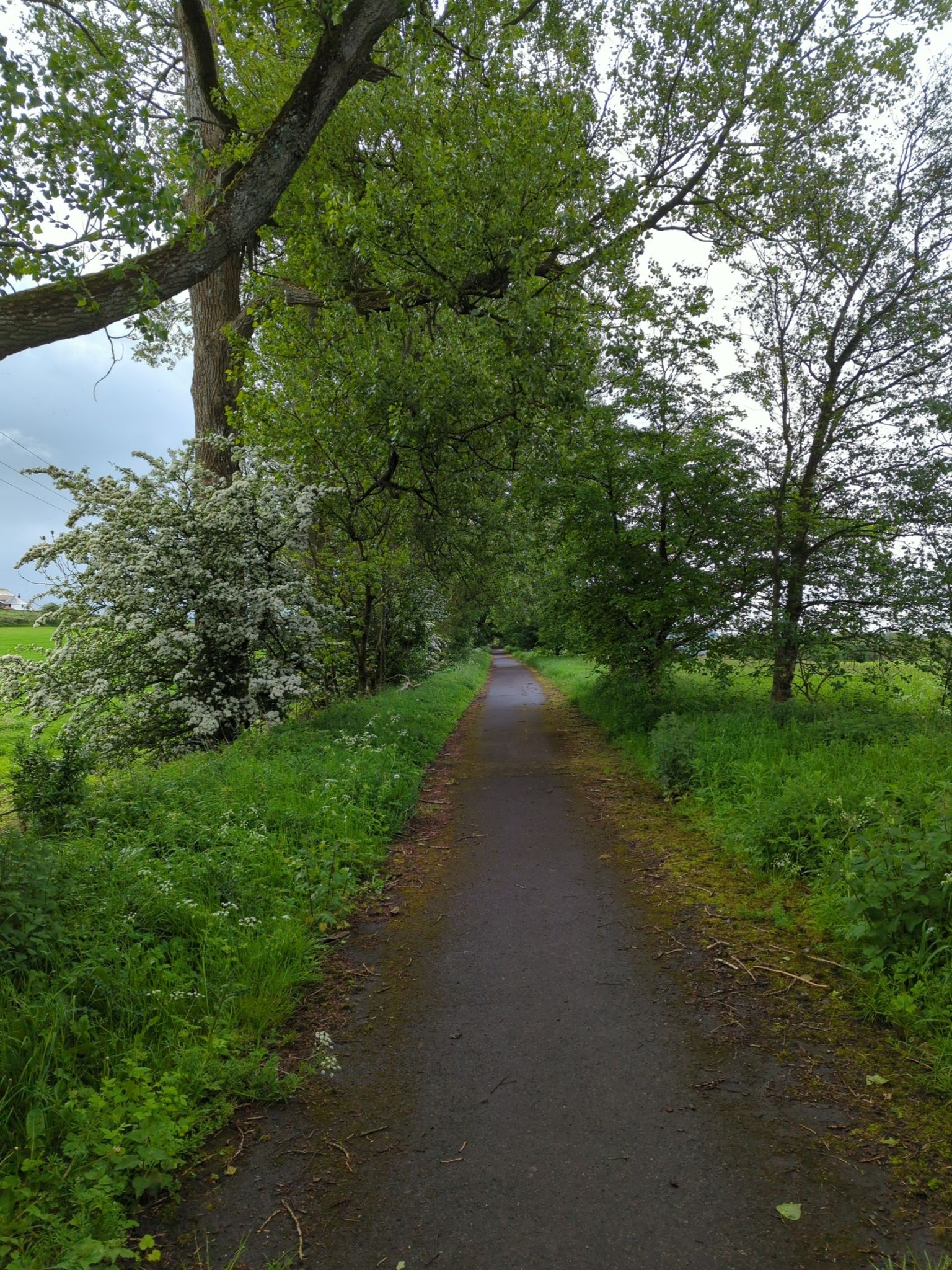 Finally separated from main road