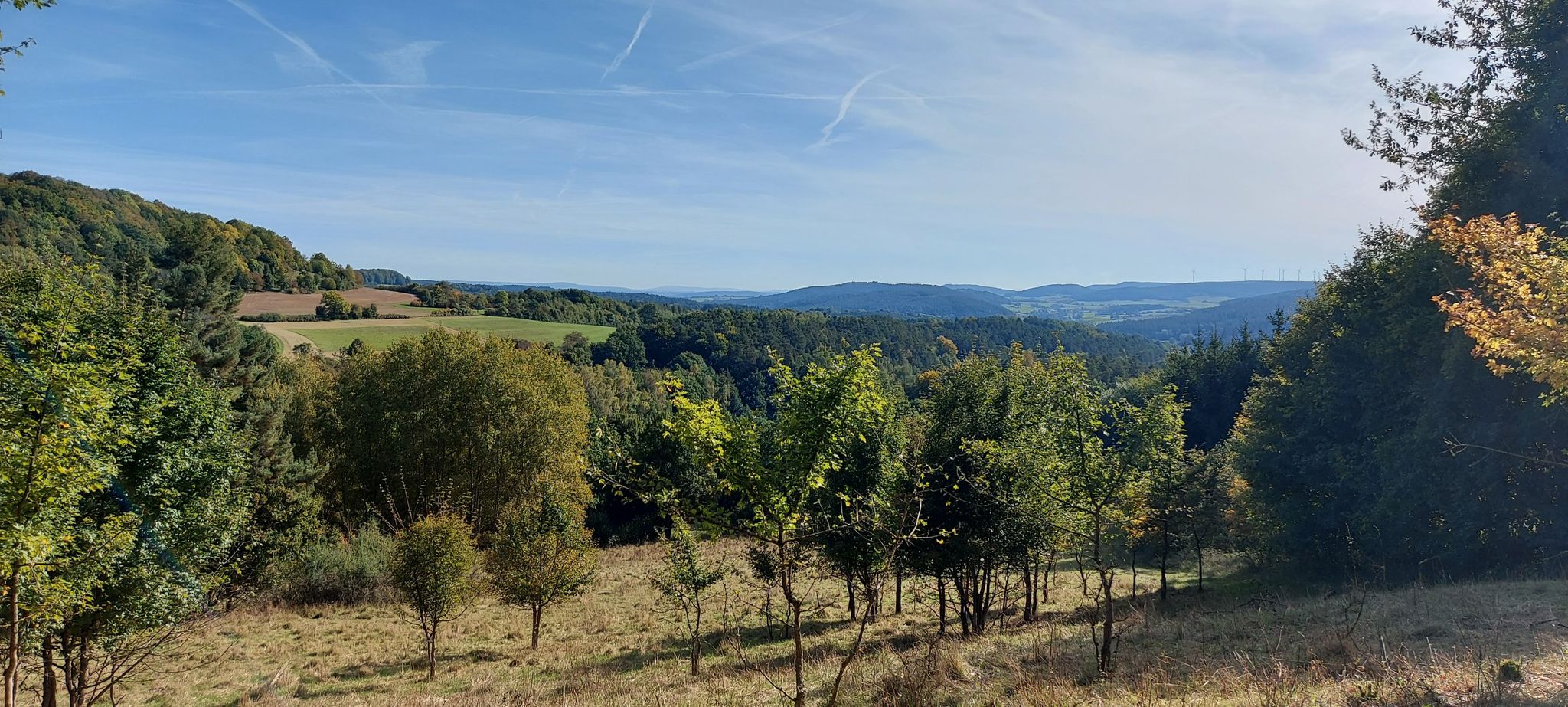Blick ins Ahorntal