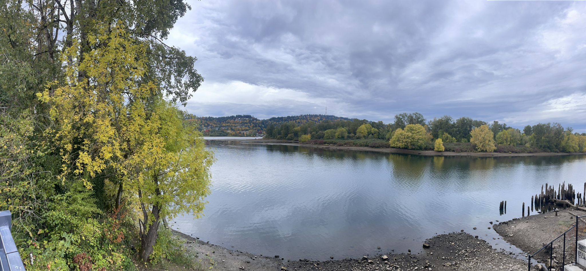 Wide river with autumn trees on banks under an overcast sky. - Willamette Greenway and Trolley Trail Loop