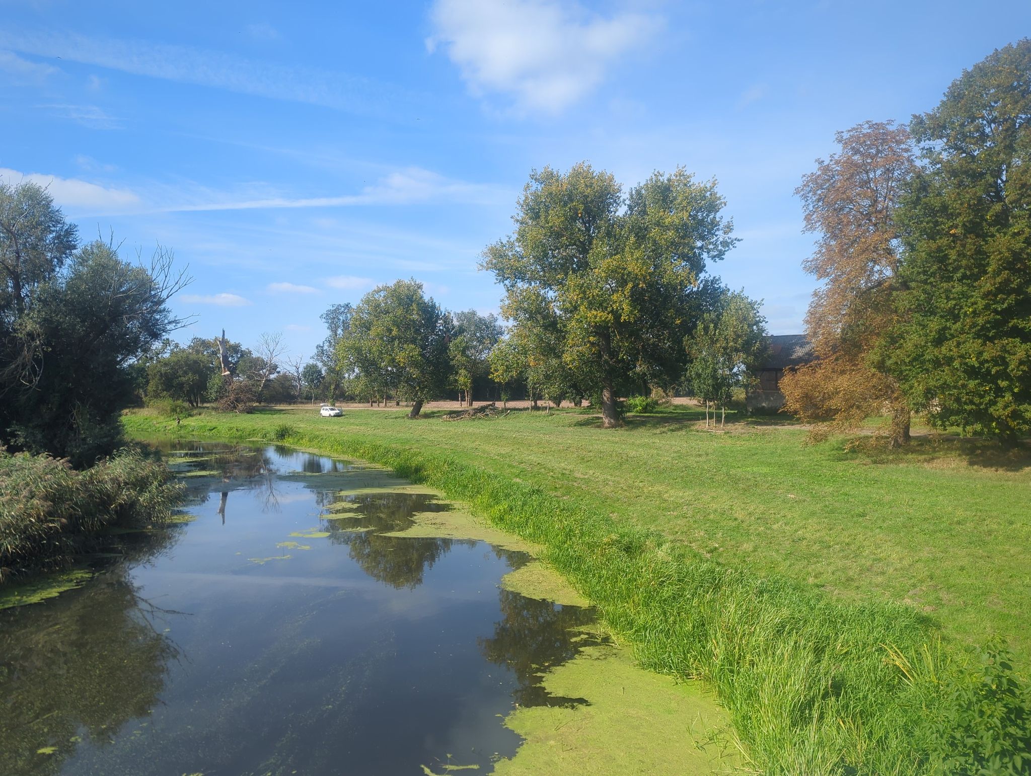 biese bei falkenberg