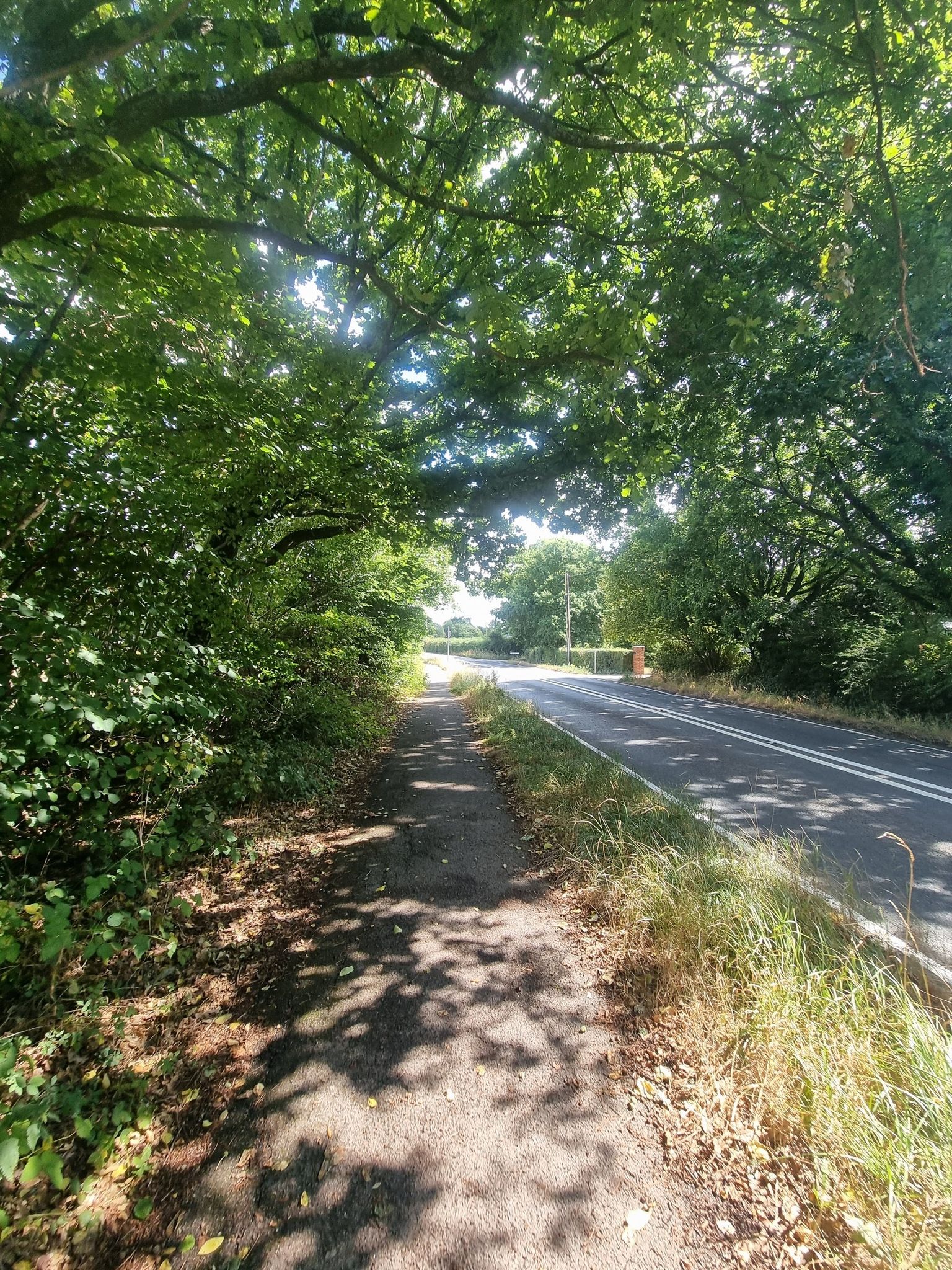 Castle lane