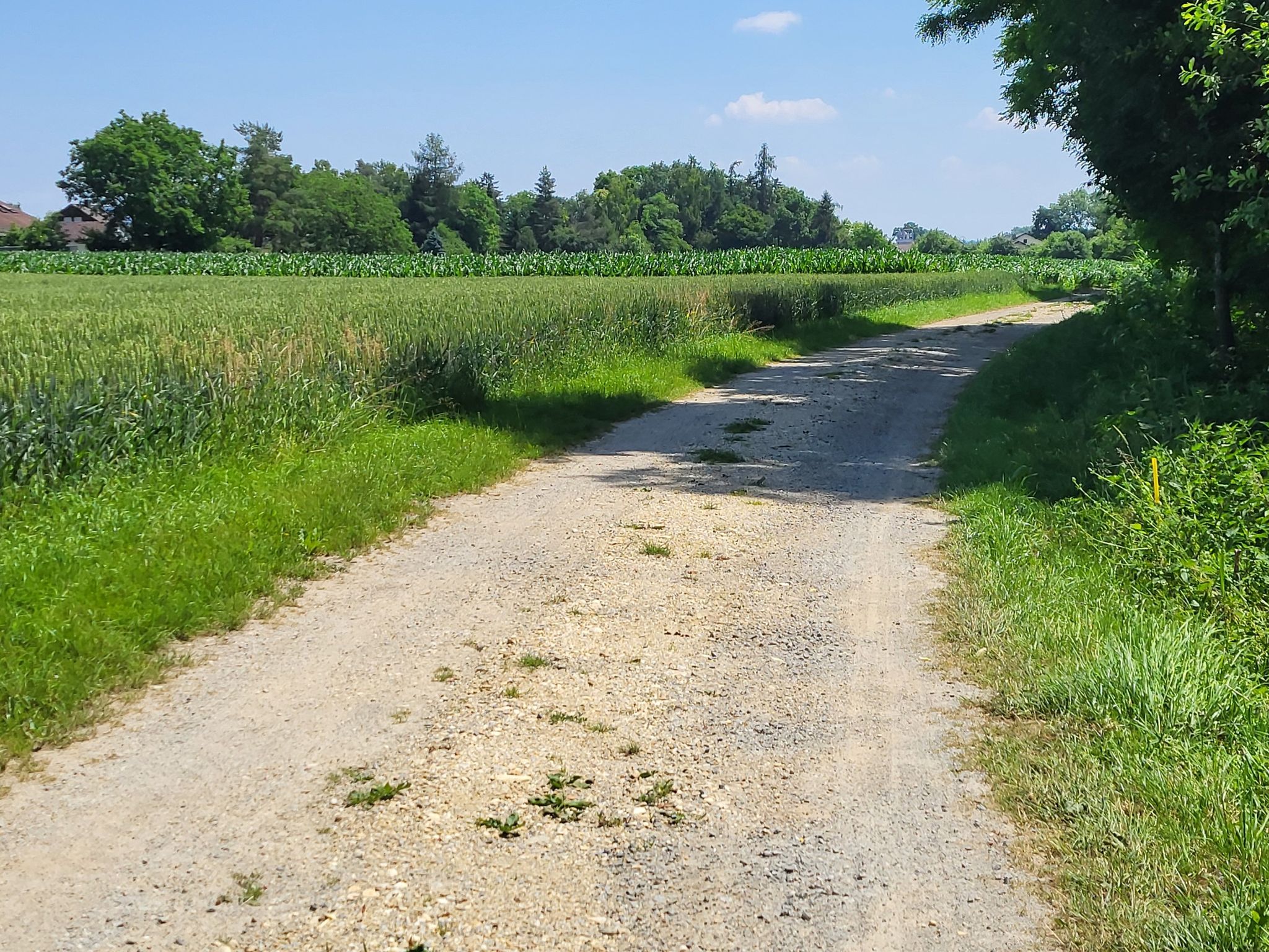 Wehrweg bei Galgweis