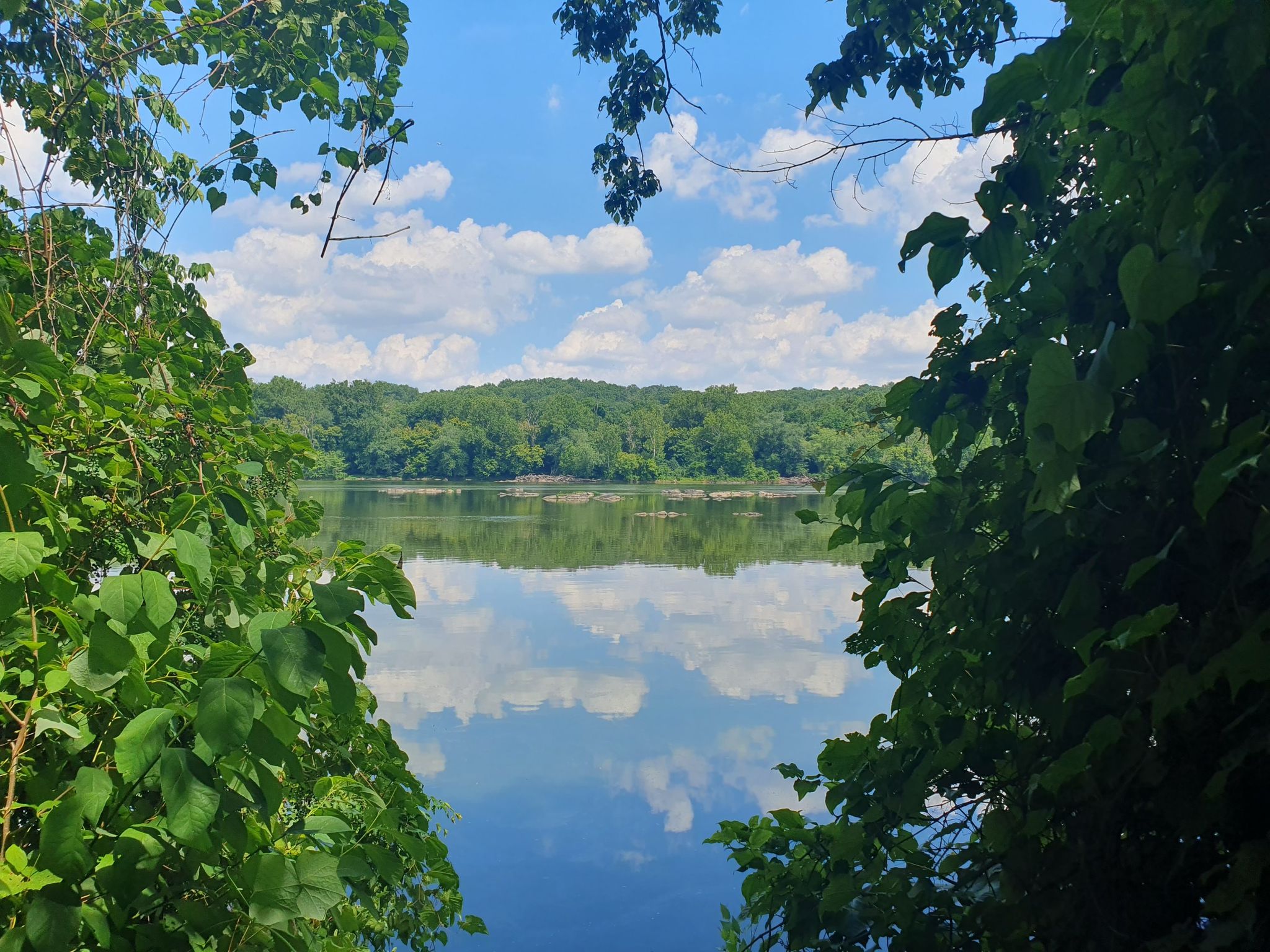 Lush green foliage frames a calm lake reflecting a cloudy blue sky. - Potomac Heritage National Scenic Trail