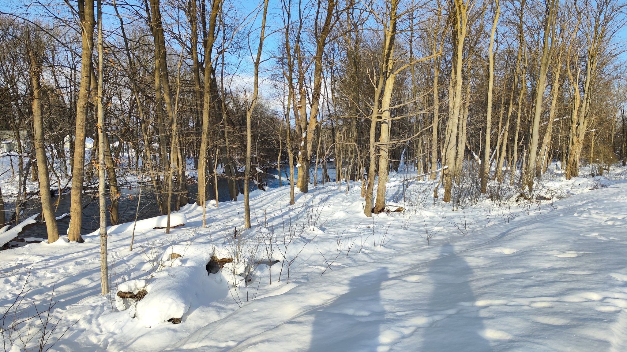 A sunlit snowy path winds through bare trees beside a flowing river. - Fort Stanwix National Monument – Mohawk River Trail loop from City of Rome