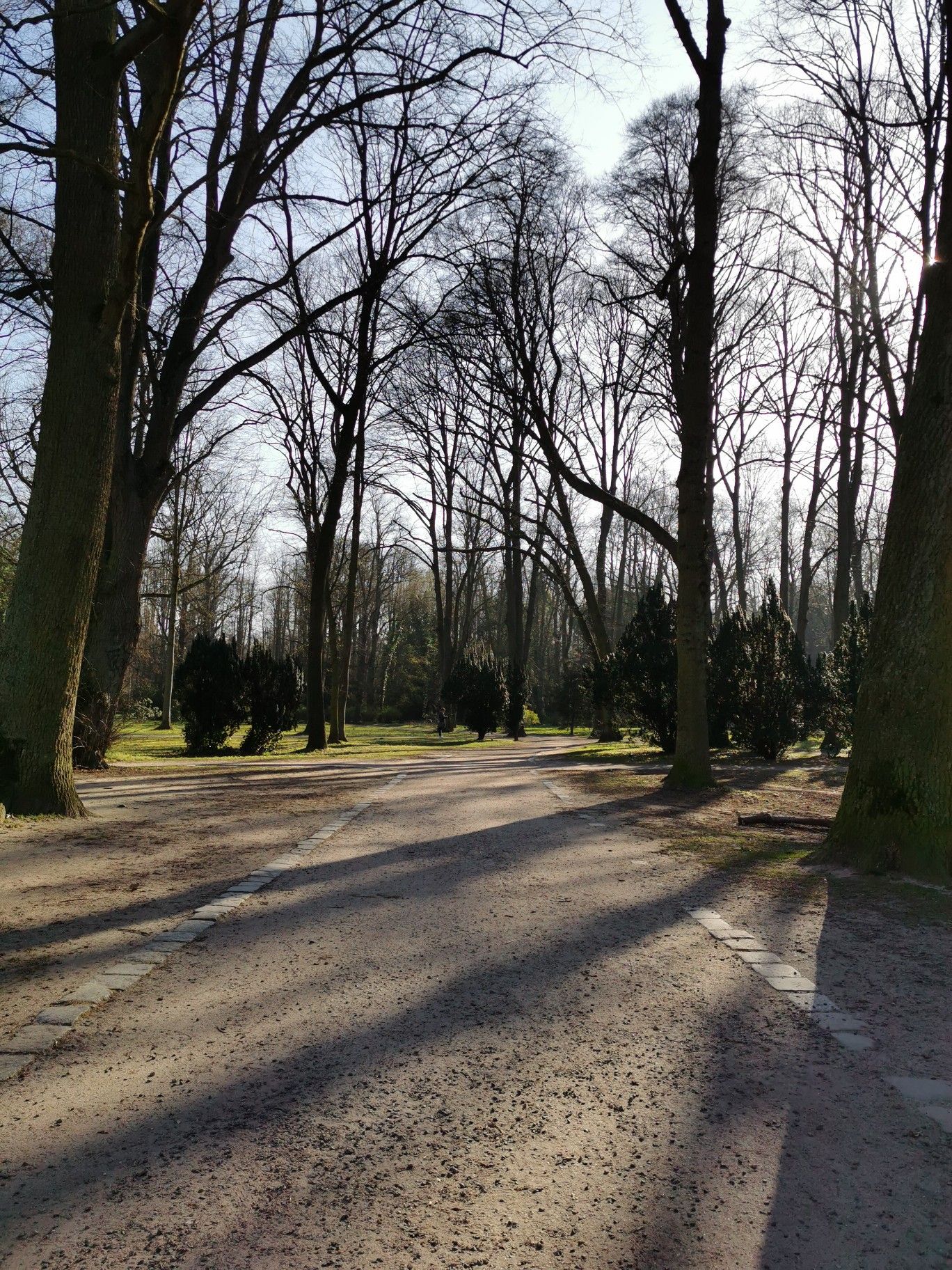 Lindenpark für ein kleines Workout
