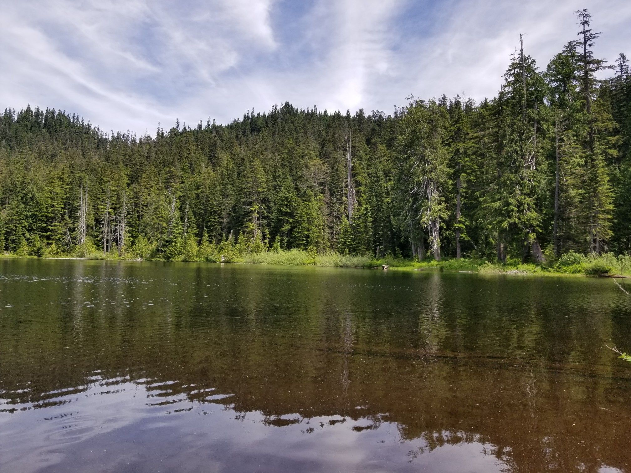 Serene lake reflecting a lush evergreen forest under a partly cloudy sky. - Pacific Crest Trail to Lodge Lake