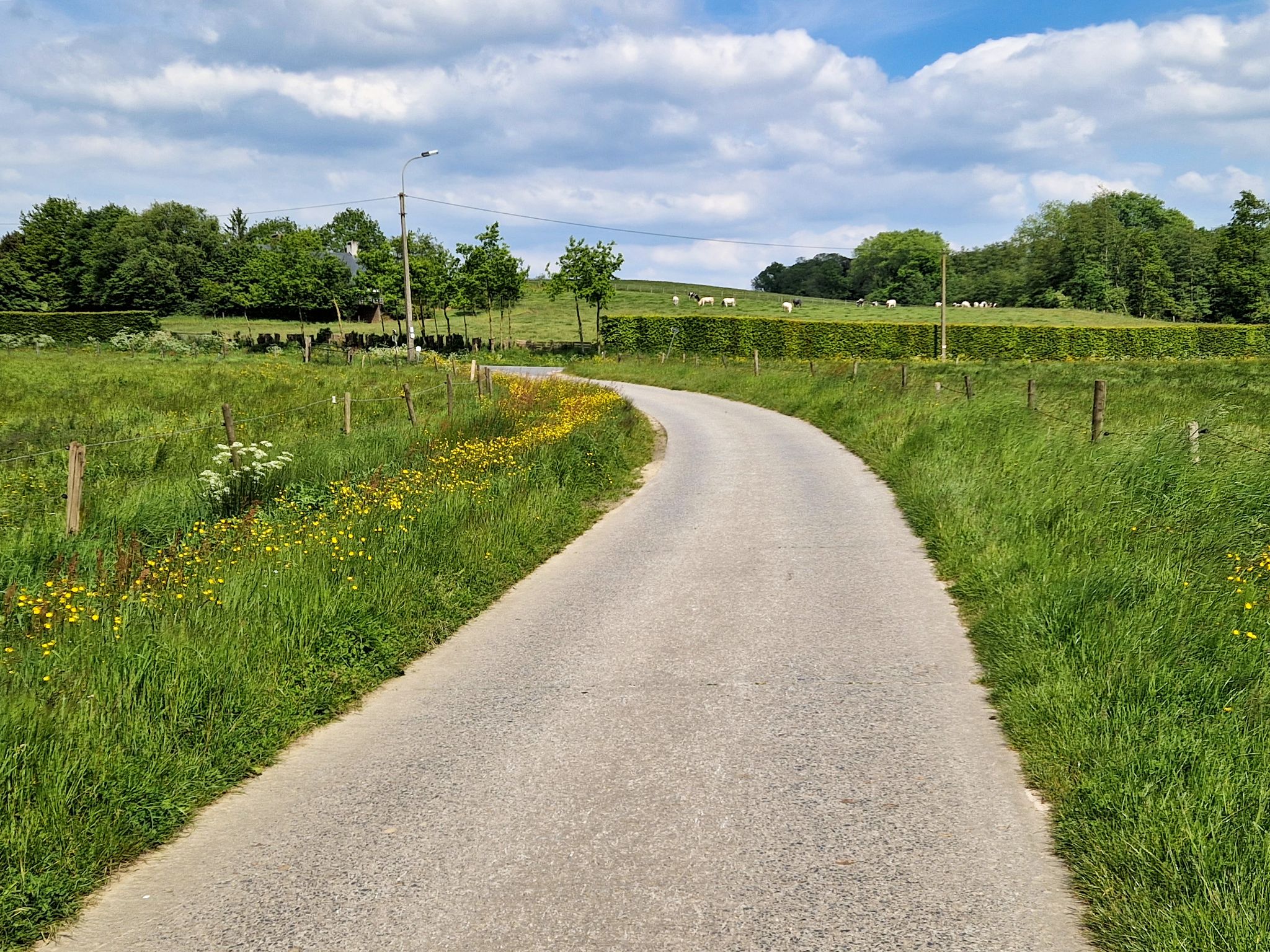 Door de velden bij Nokere