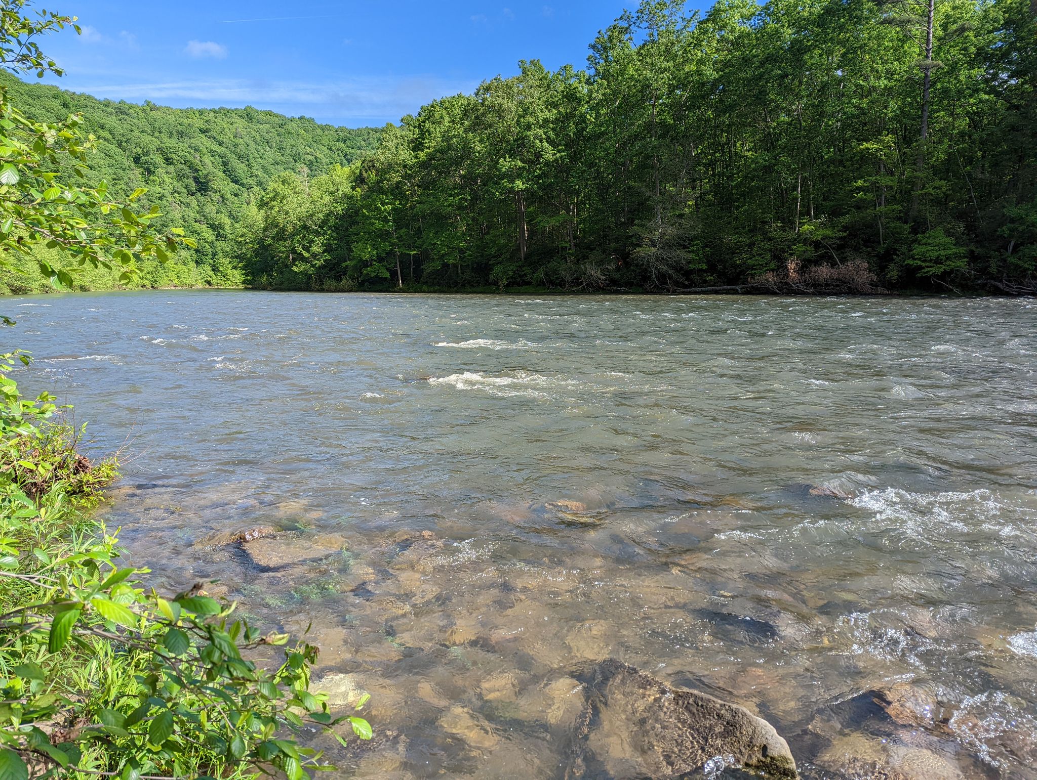 Wide river with rapids flowing past green forested hills on a sunny day. - Greenbrier River Trail and Seneca Forest Loop