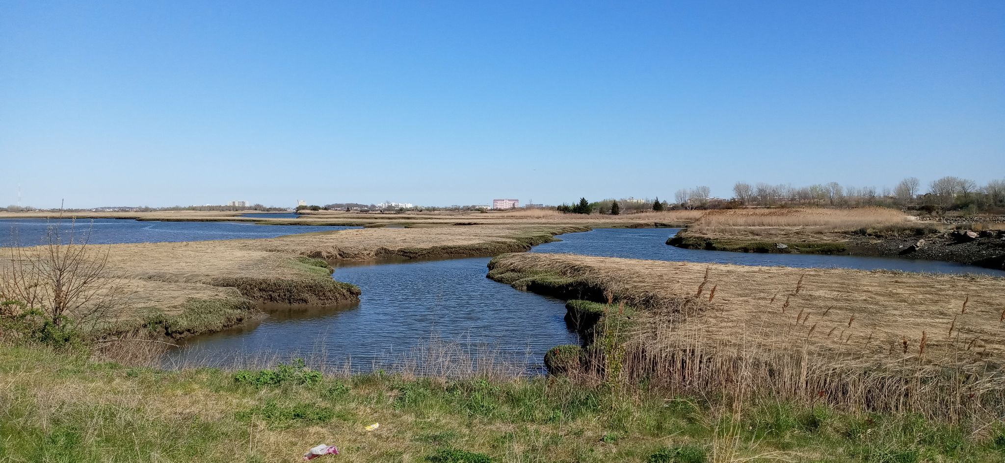 Wide marsh landscape with winding water channels under a clear blue sky. - Northern Strand Community Trail