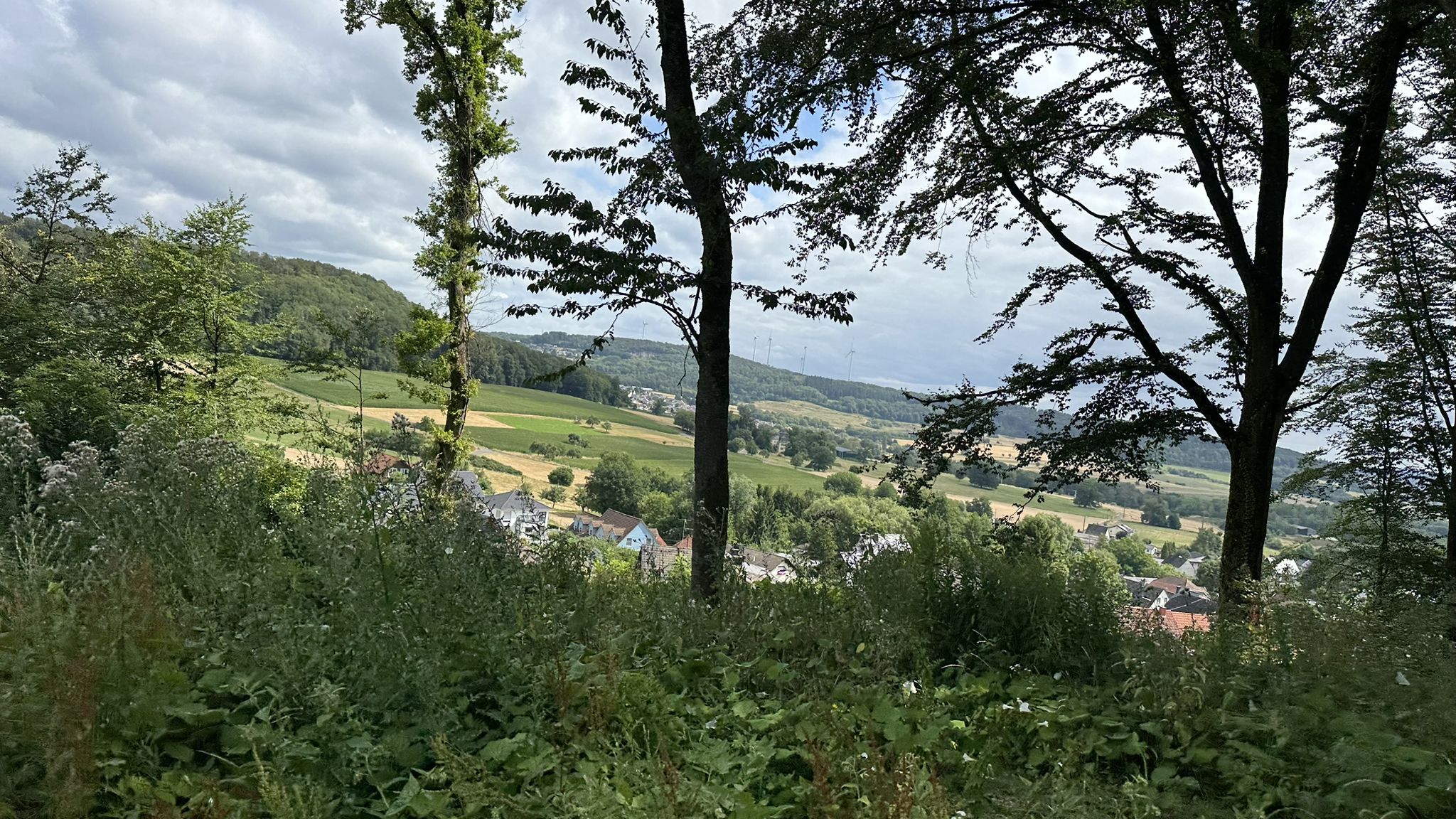 Weitblick