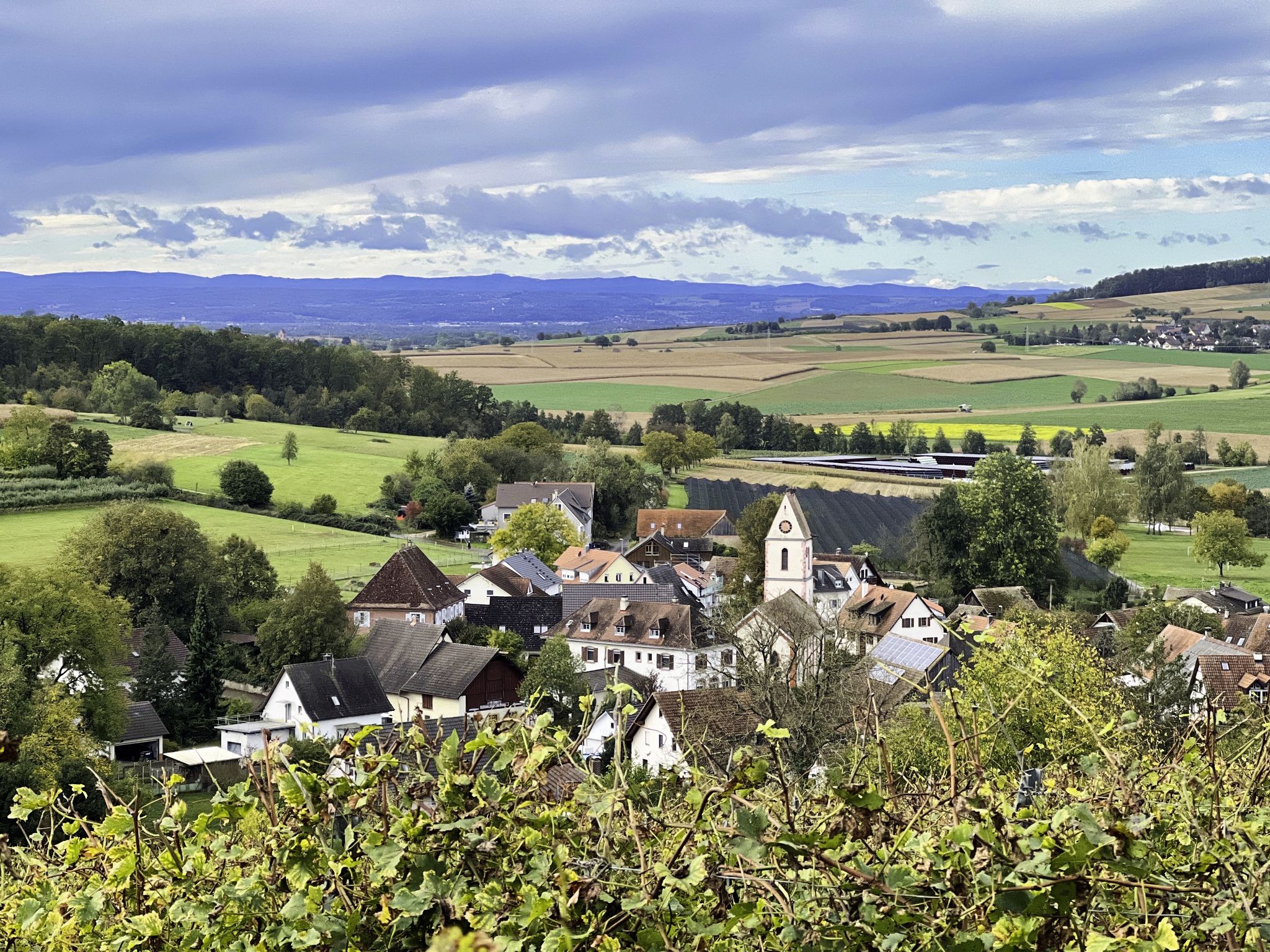 Blick auf das kleine Örtchen "Holzen".