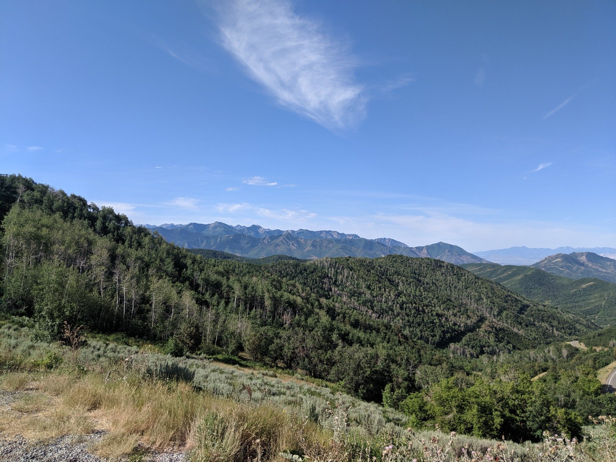 Expansive view of lush green forested mountains under a clear blue sky. - Little Mountain Summit – Big Mountain Pass loop from South Campus