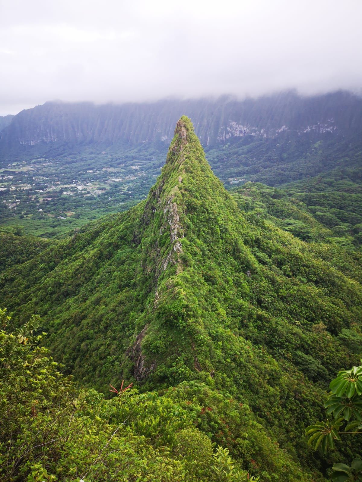 Overcast view of a steep, green, pointed mountain peak above a valley. - Hoʻomaluhia Botanical Gardens via Pu‘uhalo loop