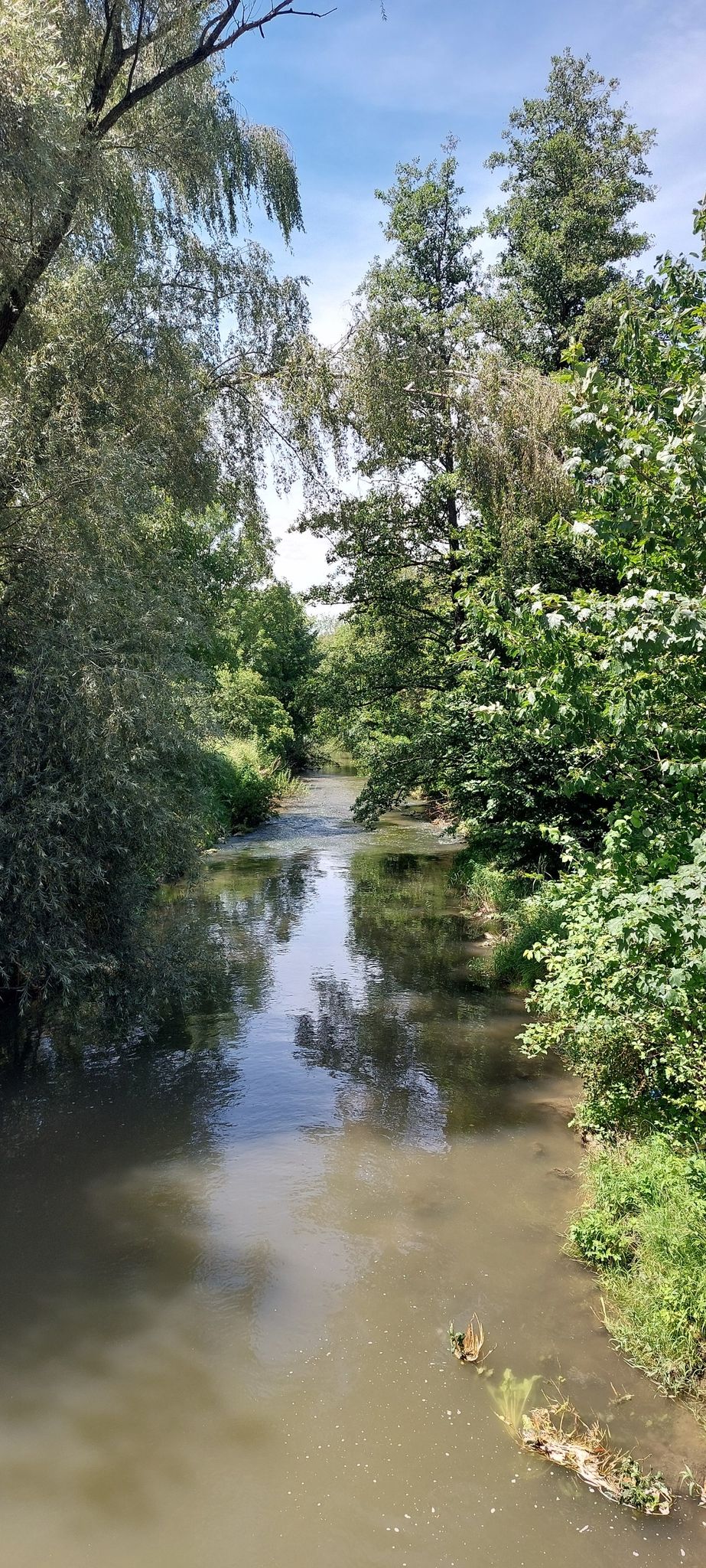 Vor Wartenberg
