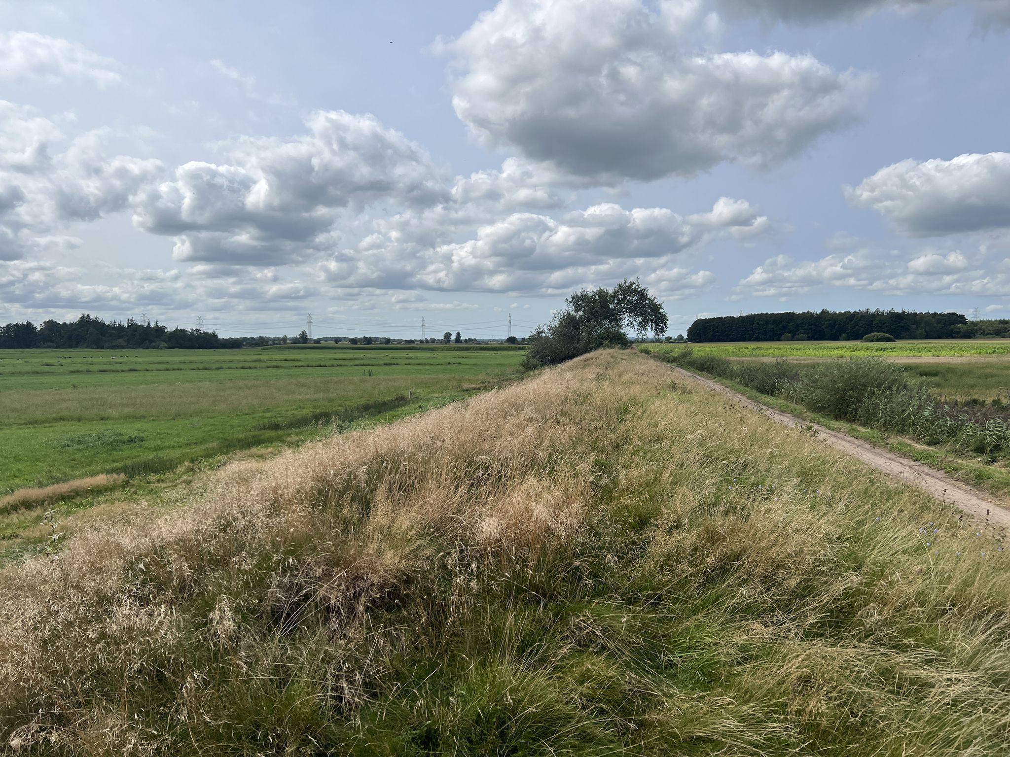 Danewerk, Hauptwall