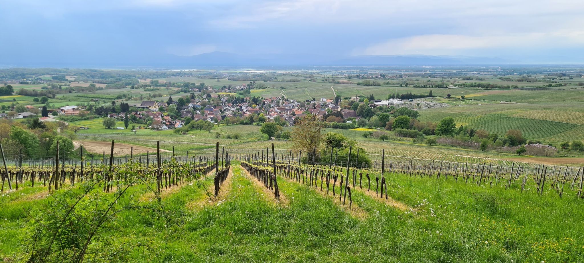 Laufen