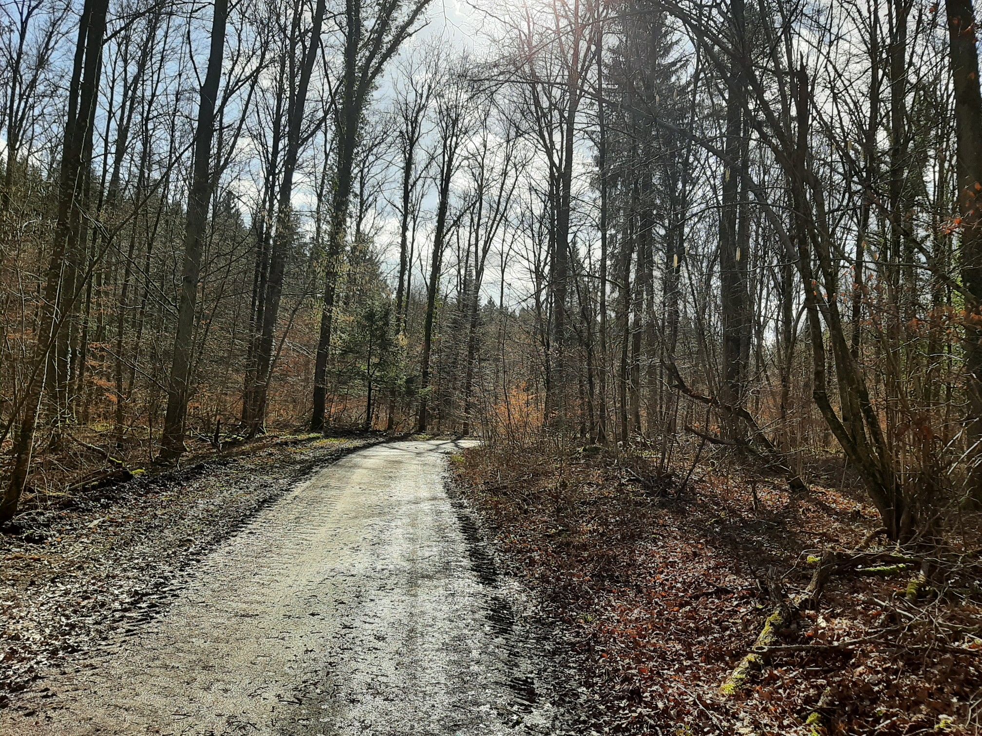 Entlang am "Berwanger Bach"